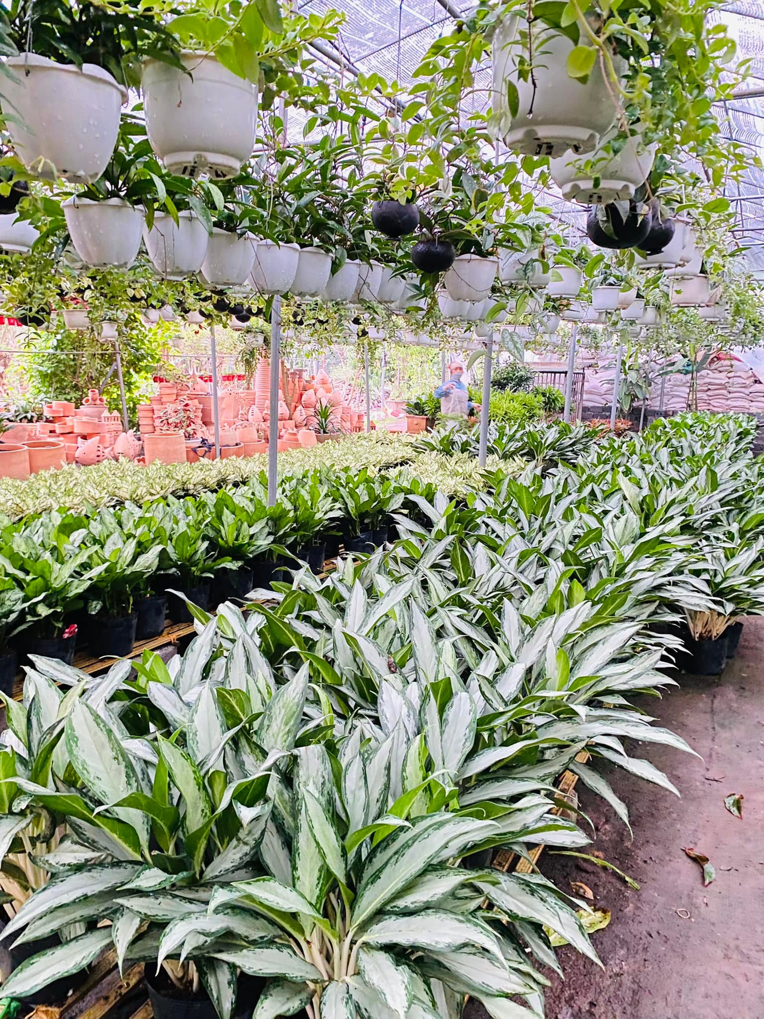 278922672_5713465358670462_6576192514500766796_n