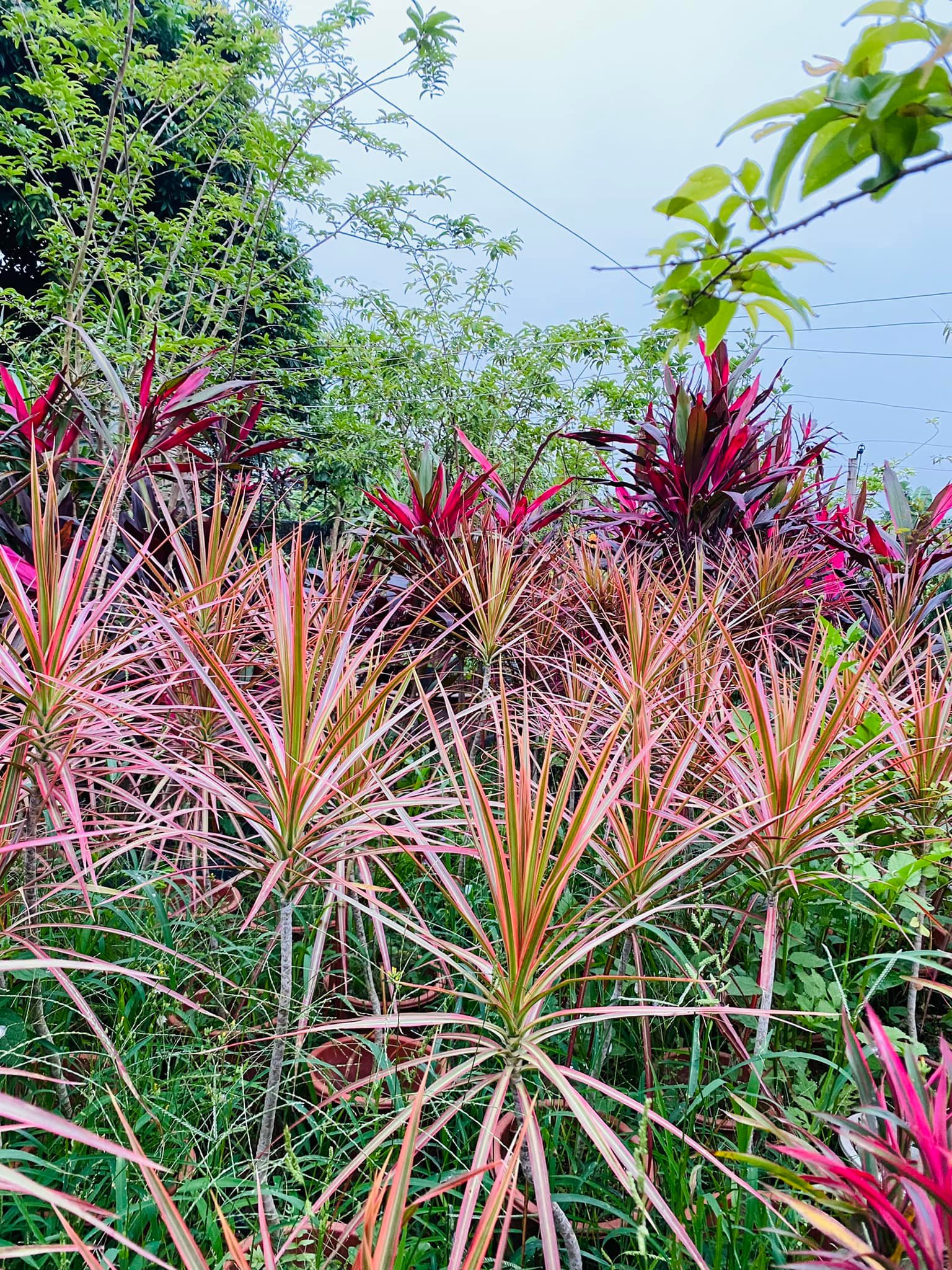 278973221_5739554909394840_8184274327006947078_n