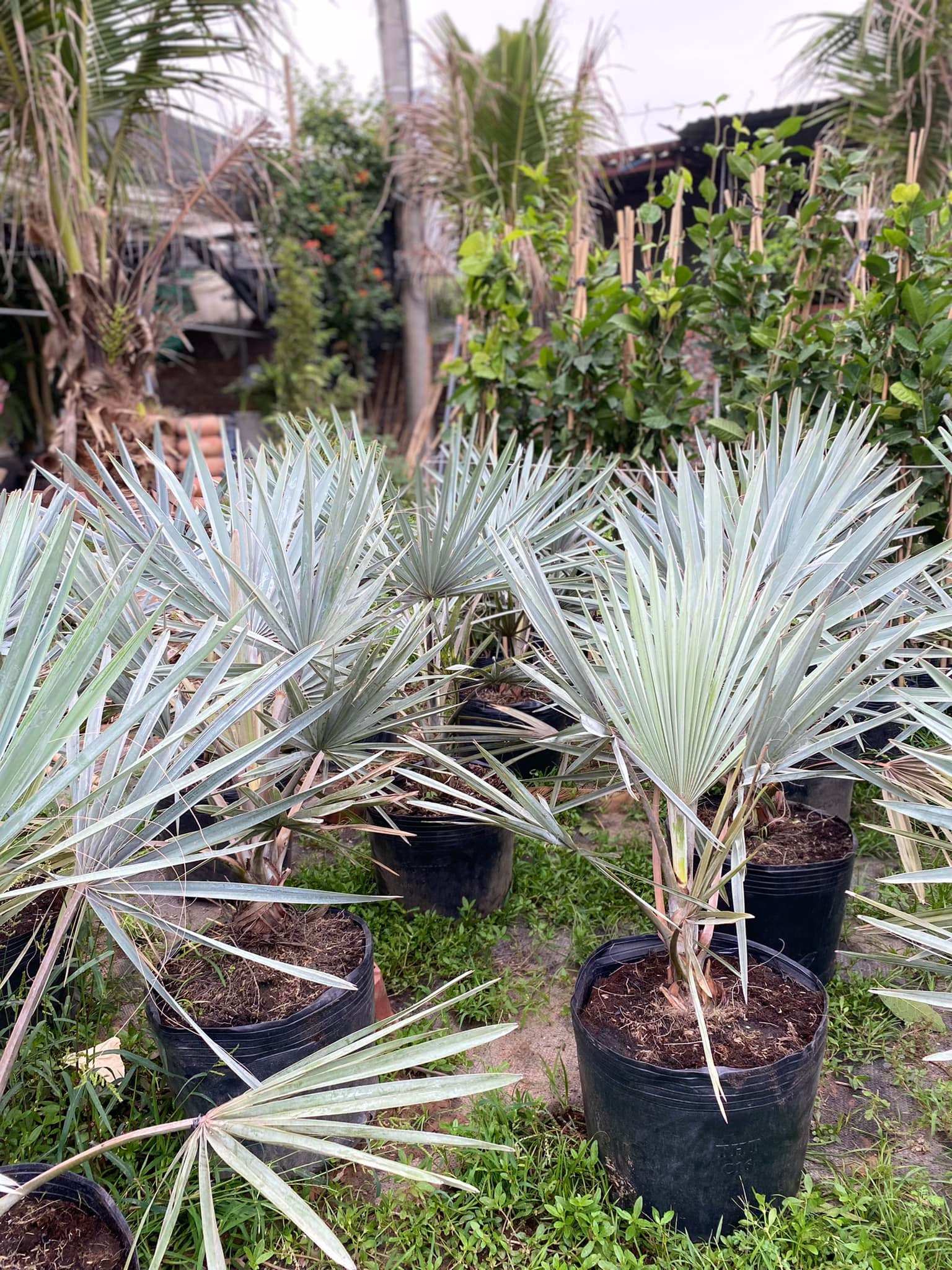 279053086_5739305659419765_336119578228070168_n