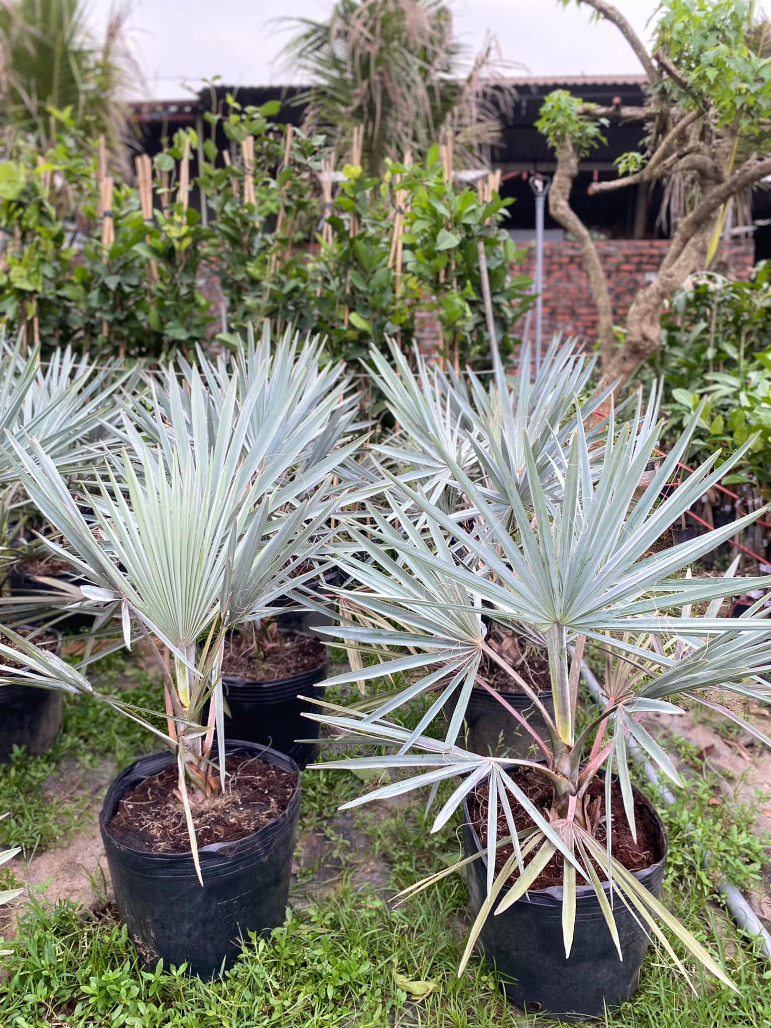 279087541_5739305802753084_119962970495276436_n