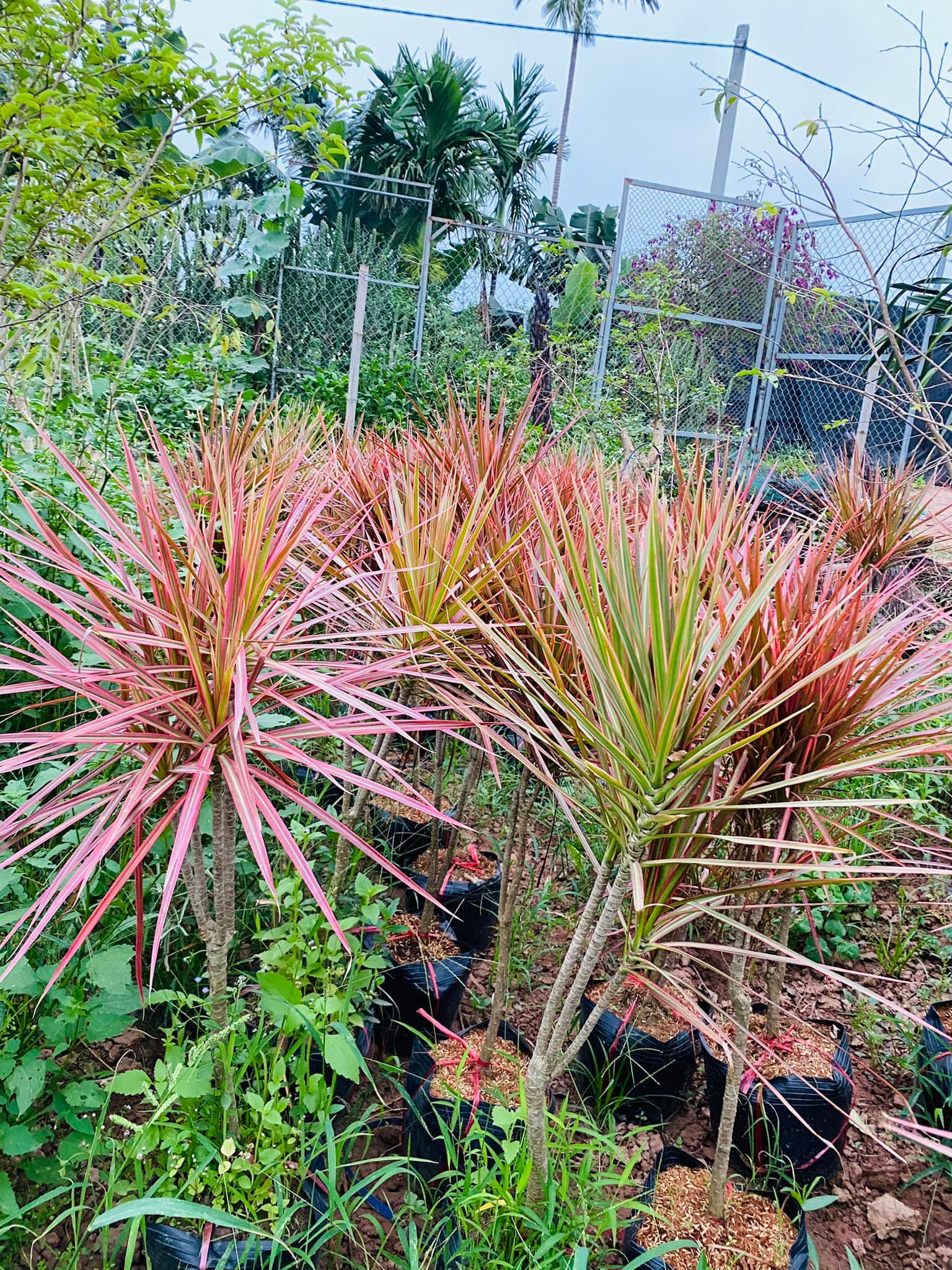 279142951_5739554809394850_6118152597787690087_n