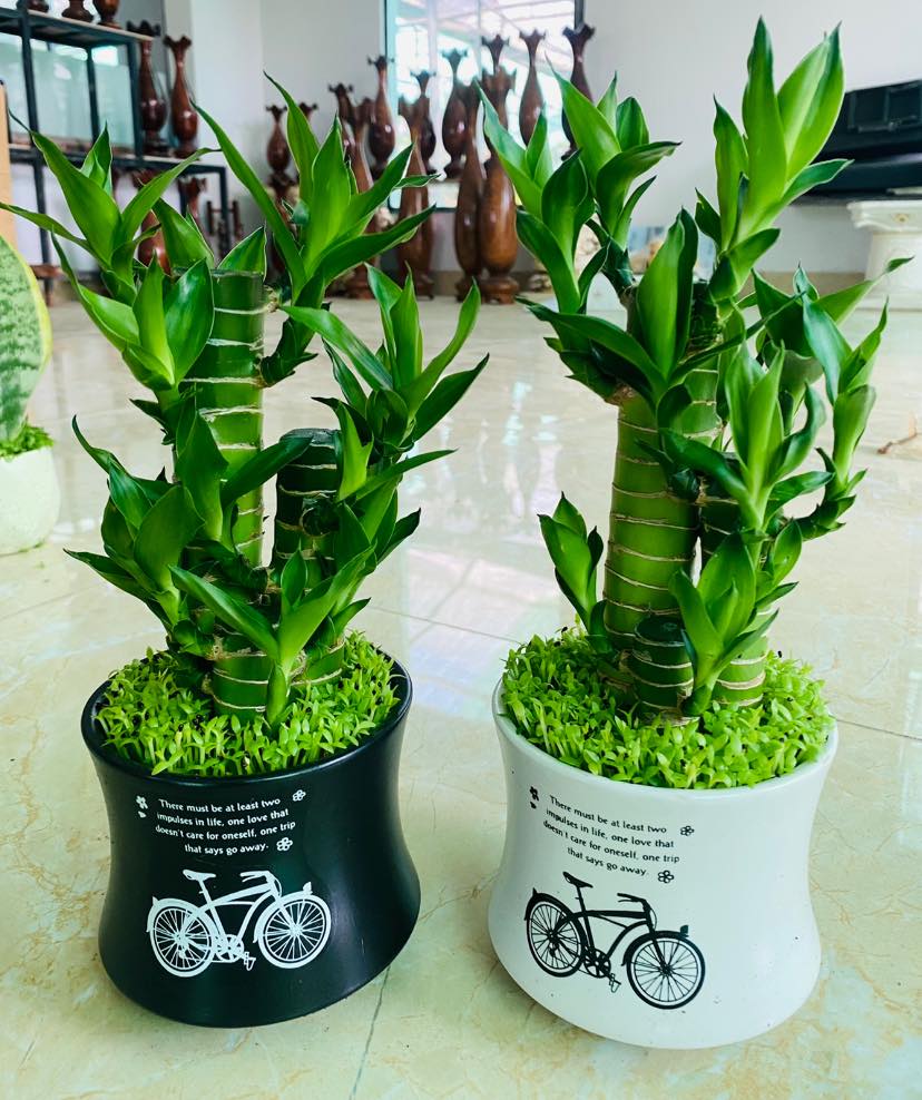 279198297_5750574378292893_6949851482374756416_n