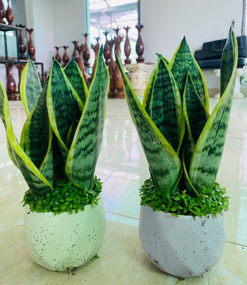 279219313_5750574098292921_8764052204646772774_n