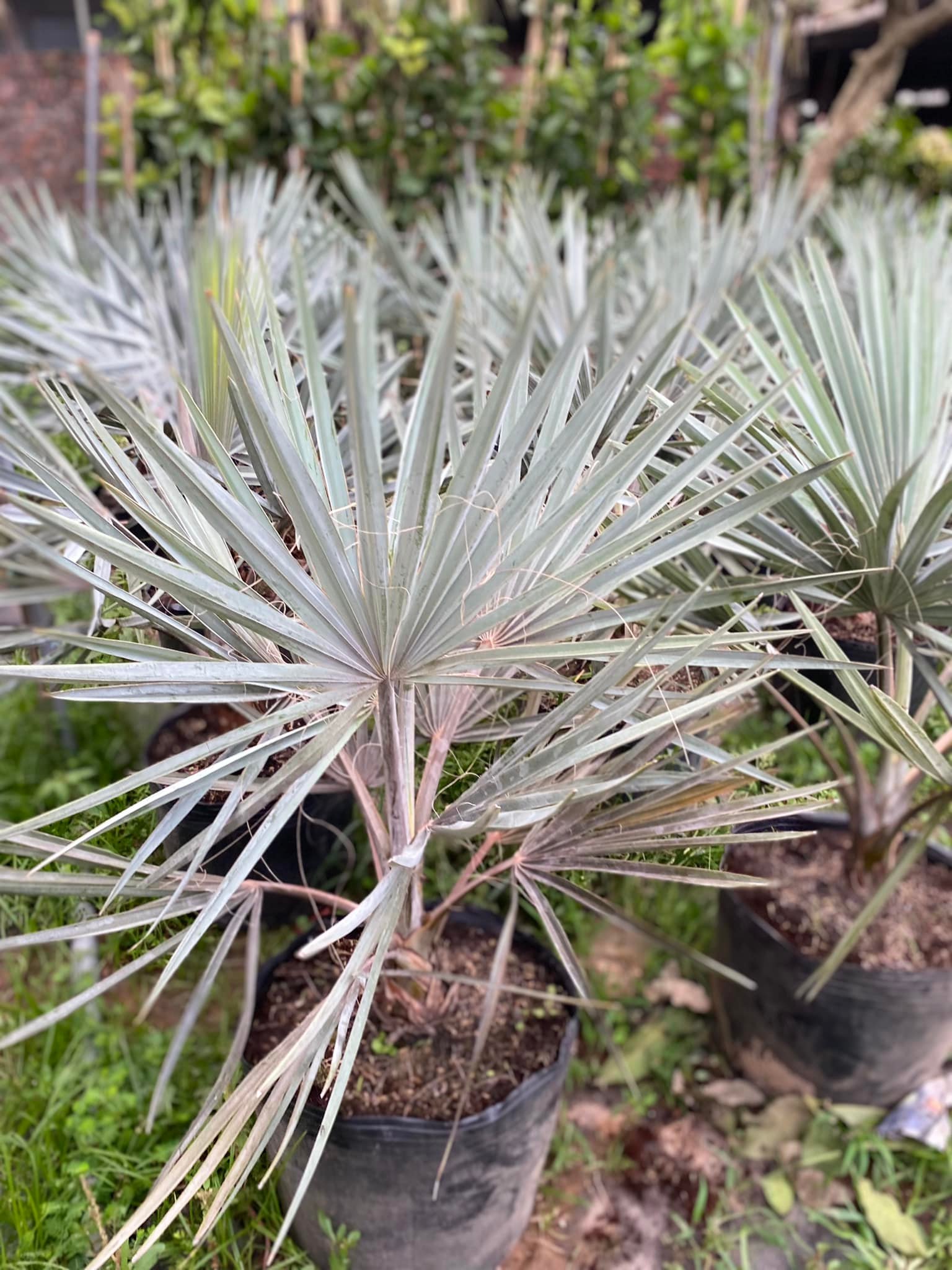 279269192_5739305786086419_1689355555248987753_n