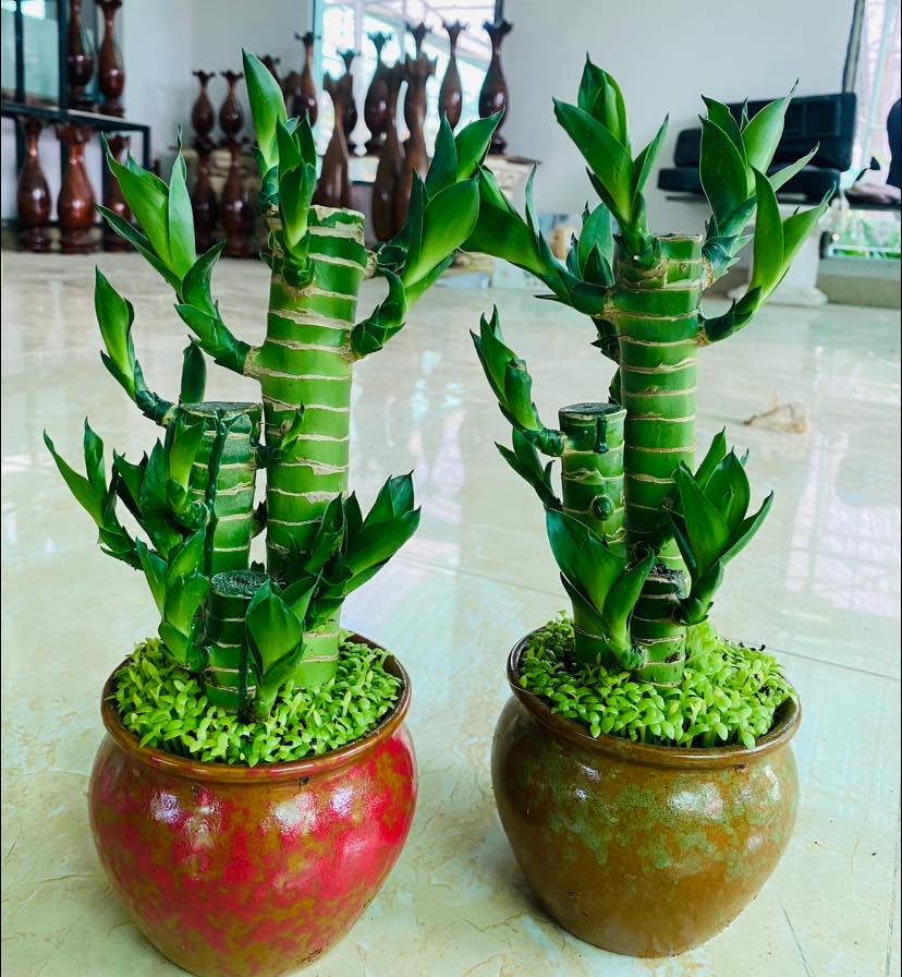 279382387_5750574791626185_8393826007262144136_n