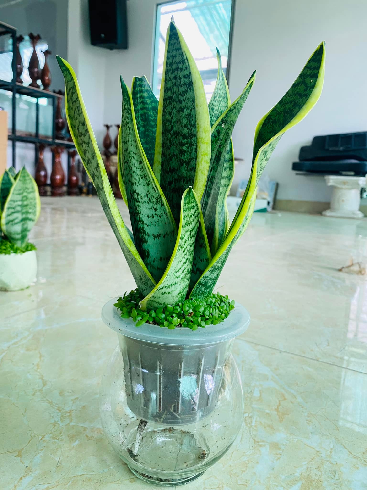 279563909_5750577414959256_7384601973747176866_n