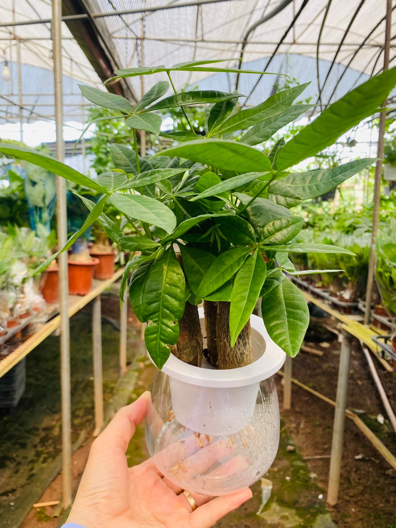 279682662_5750602361623428_7292517954348436331_n