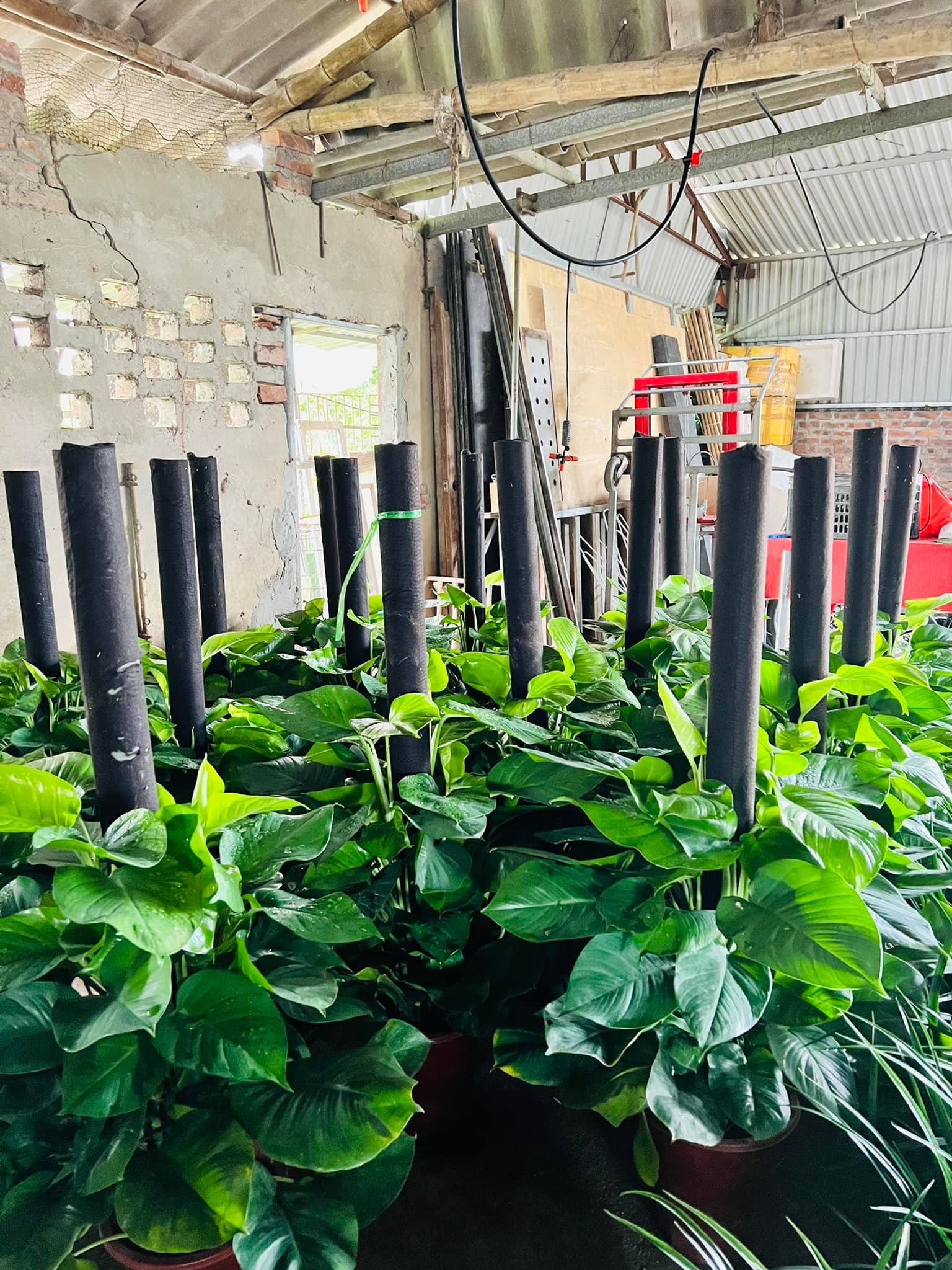 280019637_5785983454751985_3365462889634773822_n