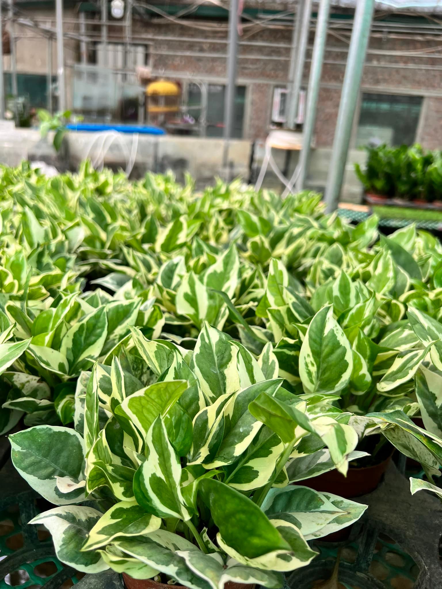 280320886_5779624292054568_4558611040857110692_n