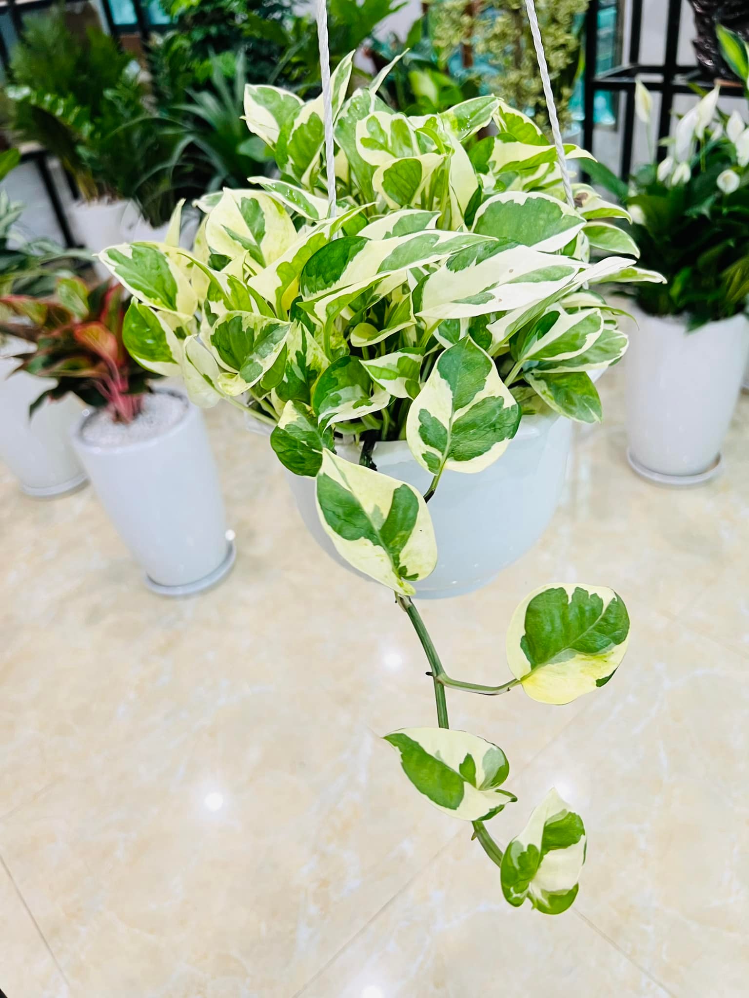 280496153_5786178151399182_6822570654815095091_n