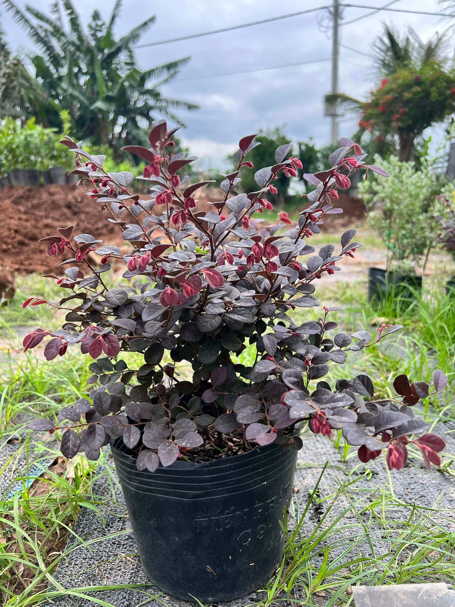 280697966_5789572034393127_8481695074990428003_n