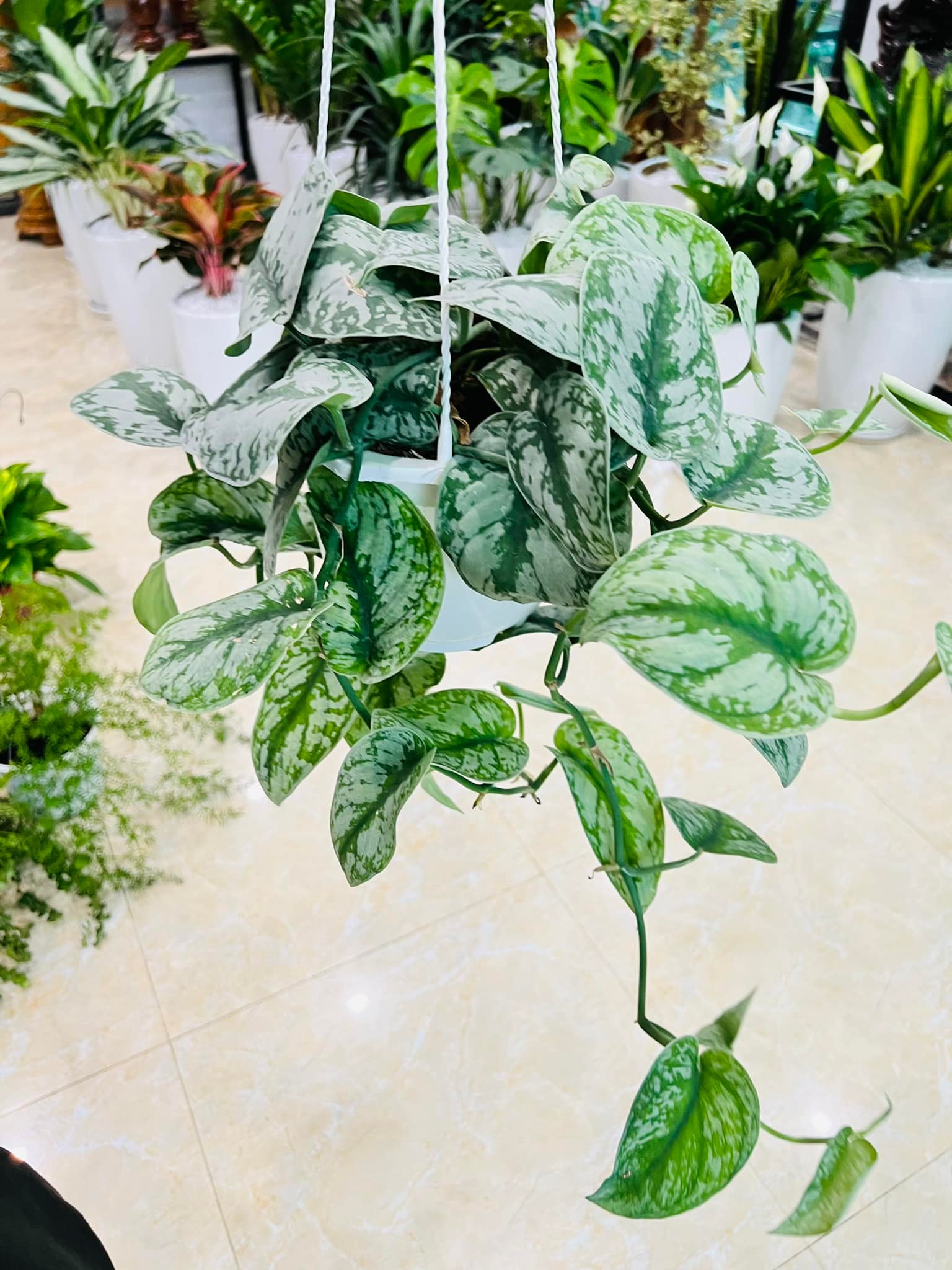 280715817_5786178088065855_658821767900139335_n