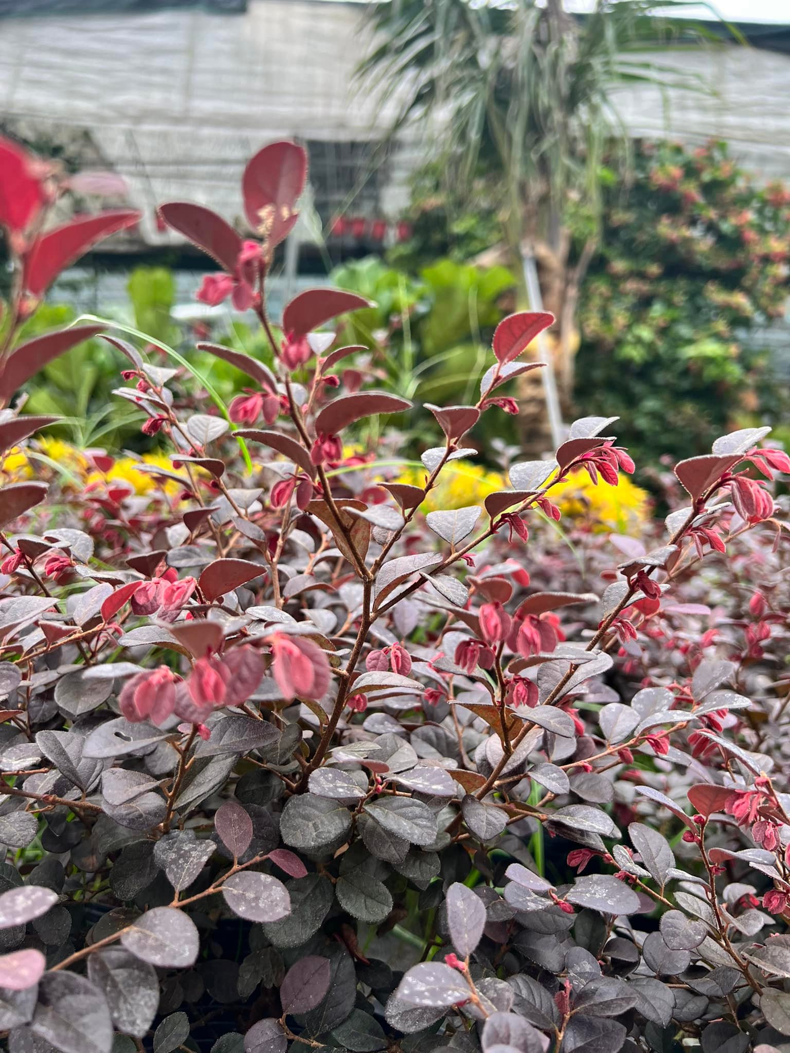 280746236_5789571814393149_183342680052735261_n