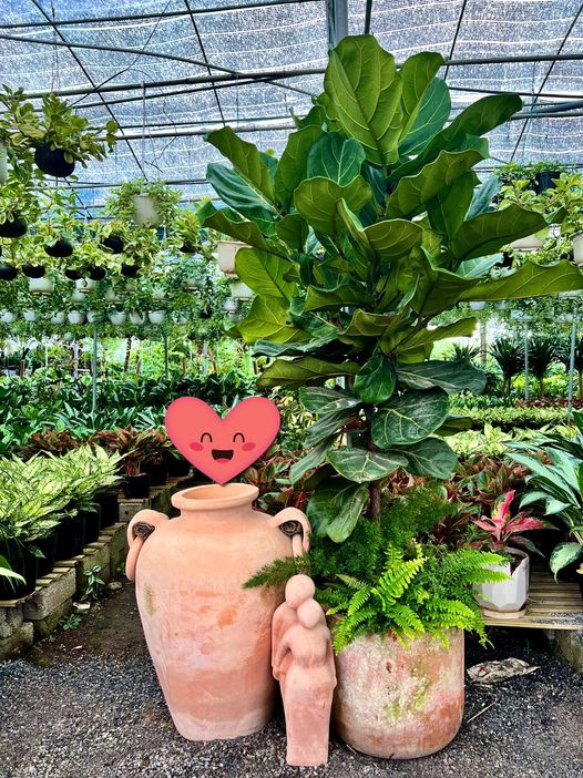 282011459_5797809403569390_4614470022325648406_n