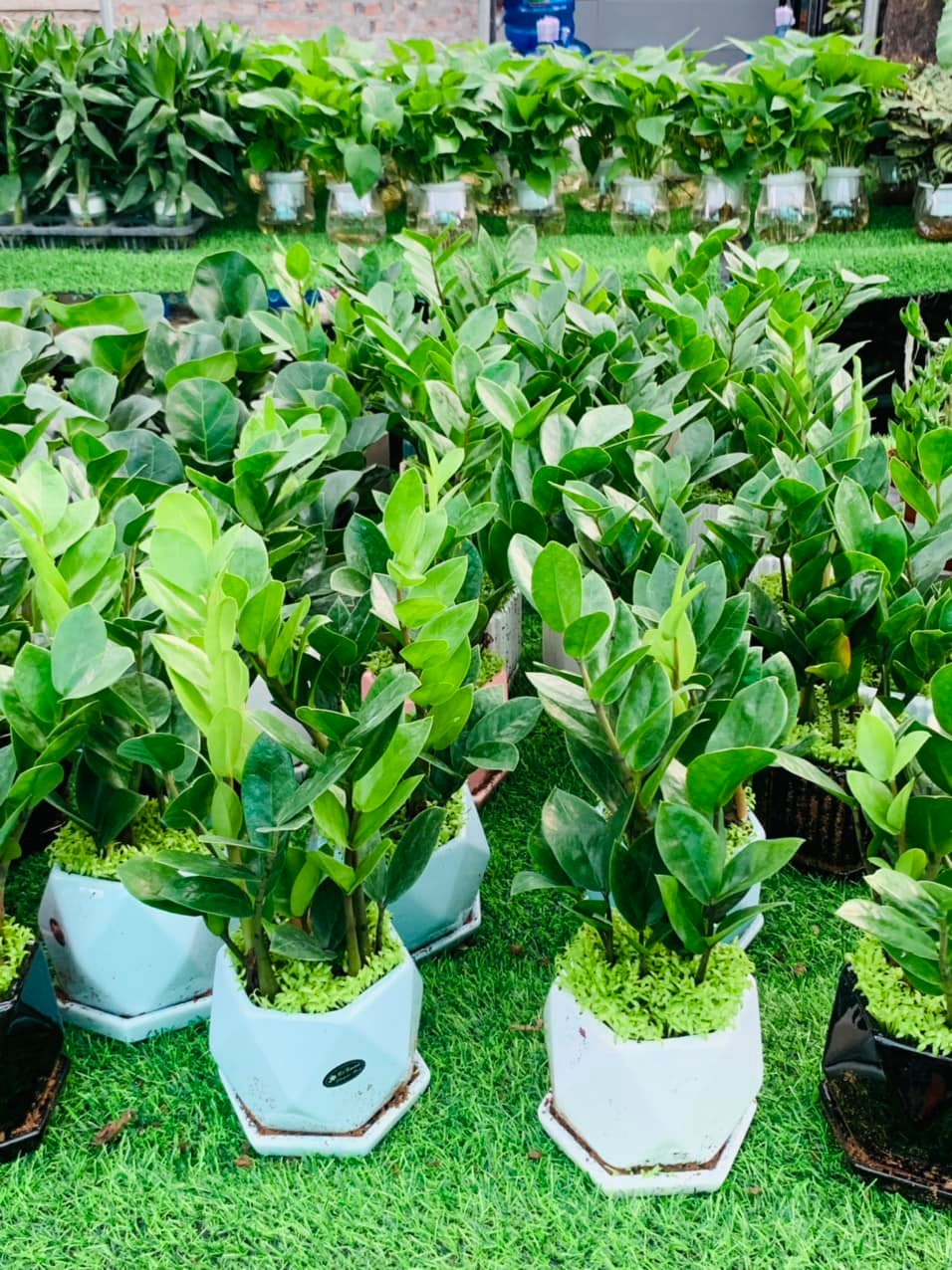 282762852_5827354737281523_5797711410645192395_n