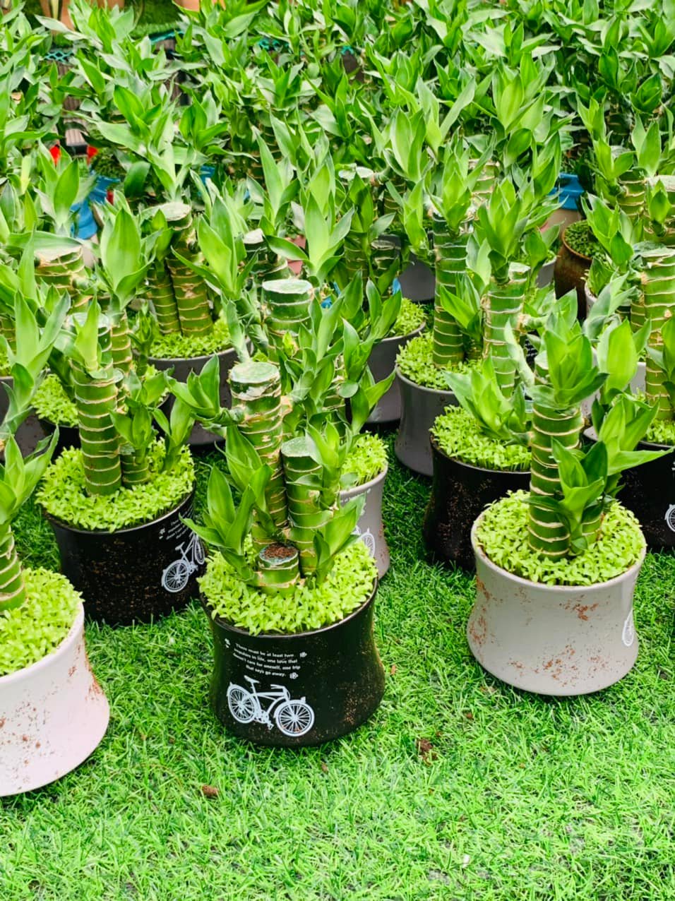 283146314_5827355107281486_7032103697205015931_n