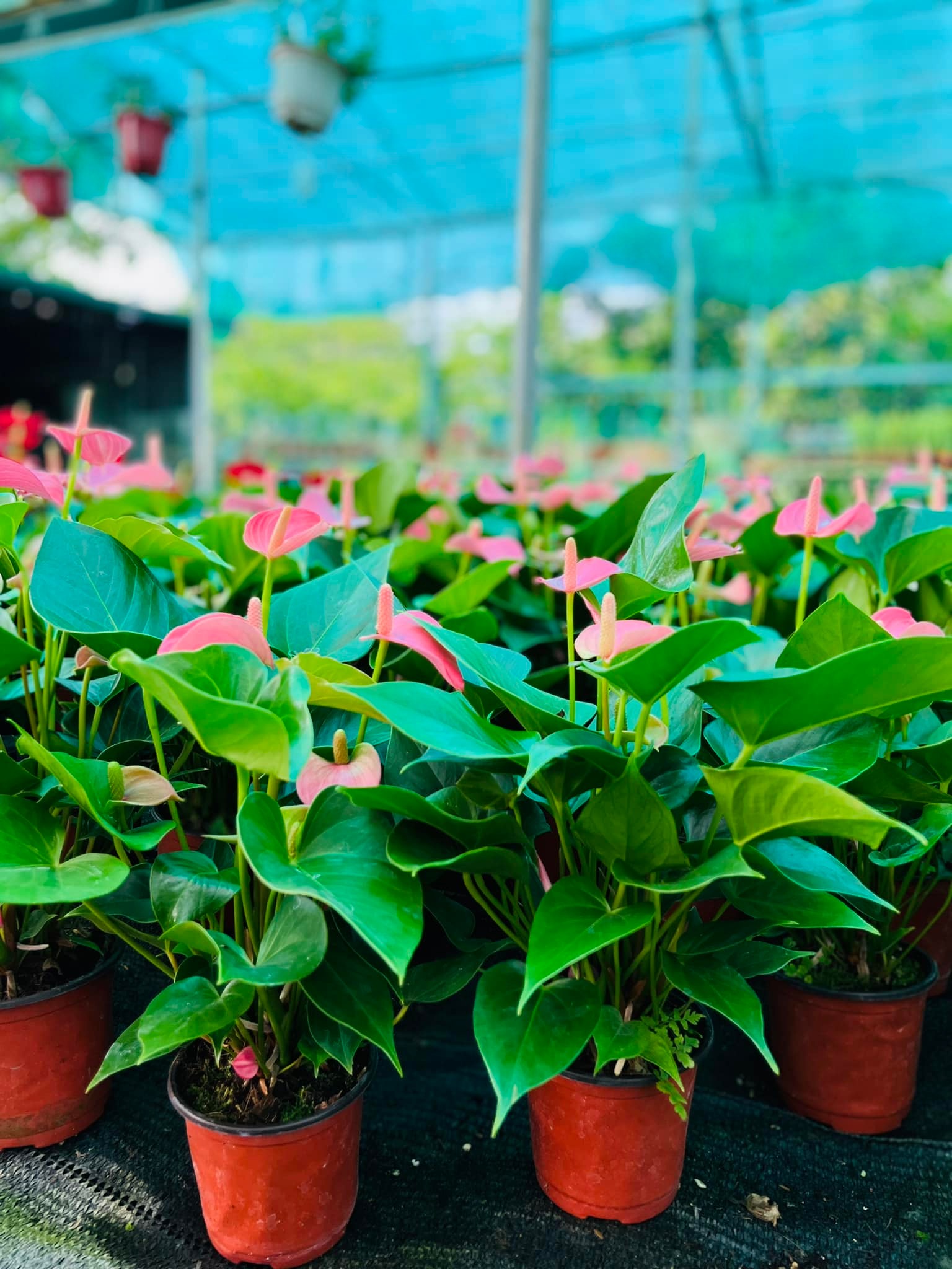 283732938_5842963825720614_2291627141663868649_n