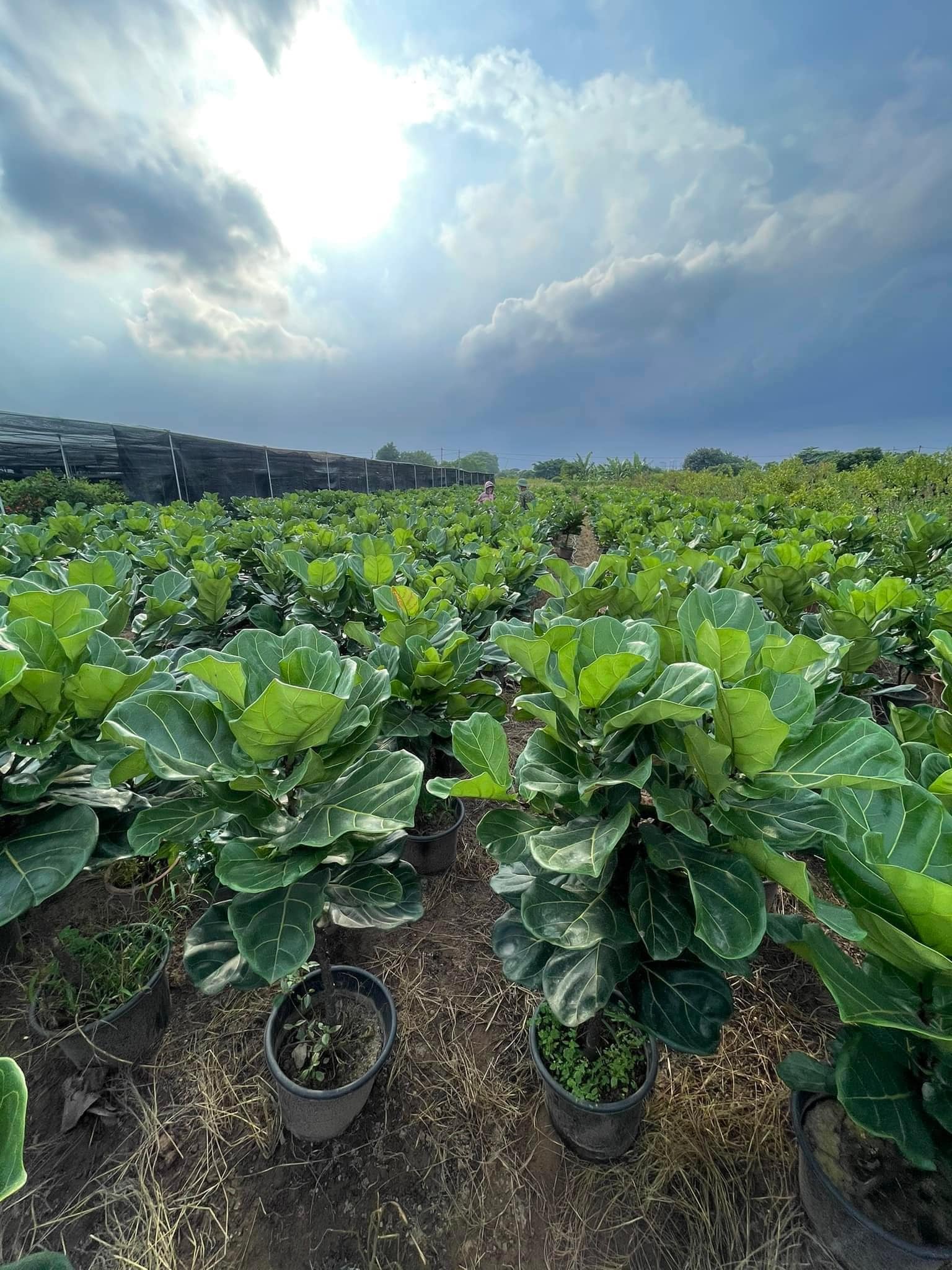 283923722_5829765890373741_5488717004152993316_n