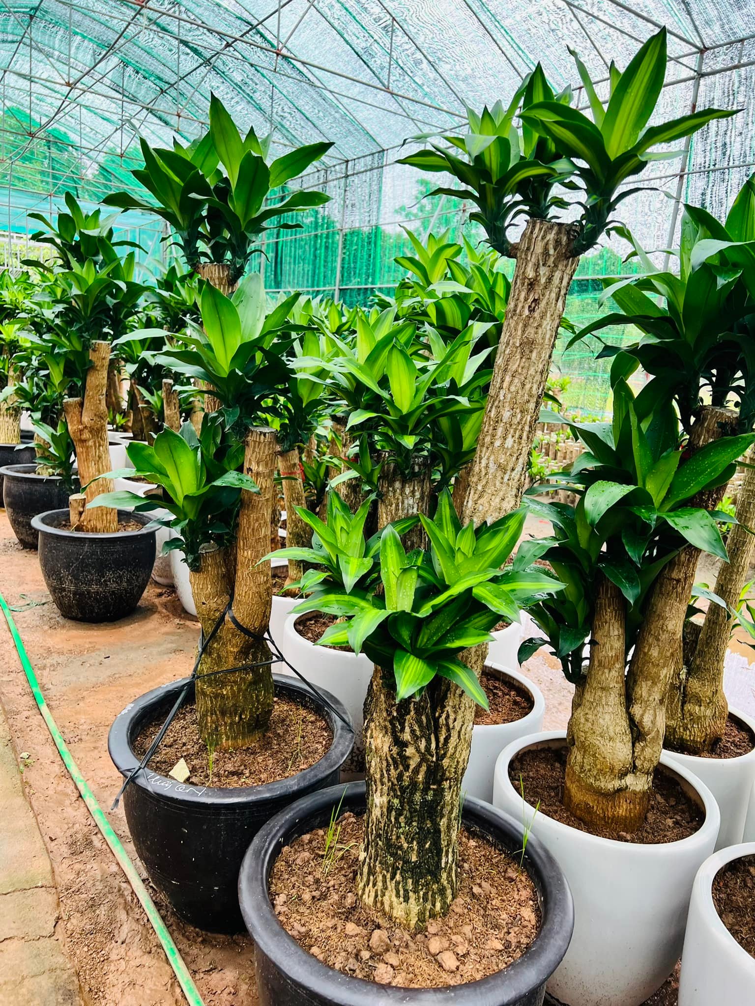 284165706_5837160032967660_2965940376295927319_n