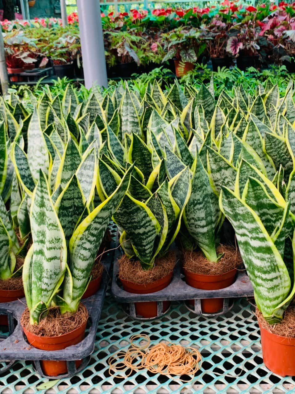 284568730_5827356133948050_7116166101792414411_n