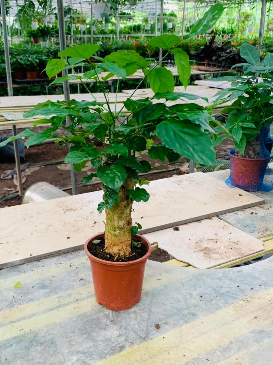 284577005_5827356237281373_3406310323126688501_n