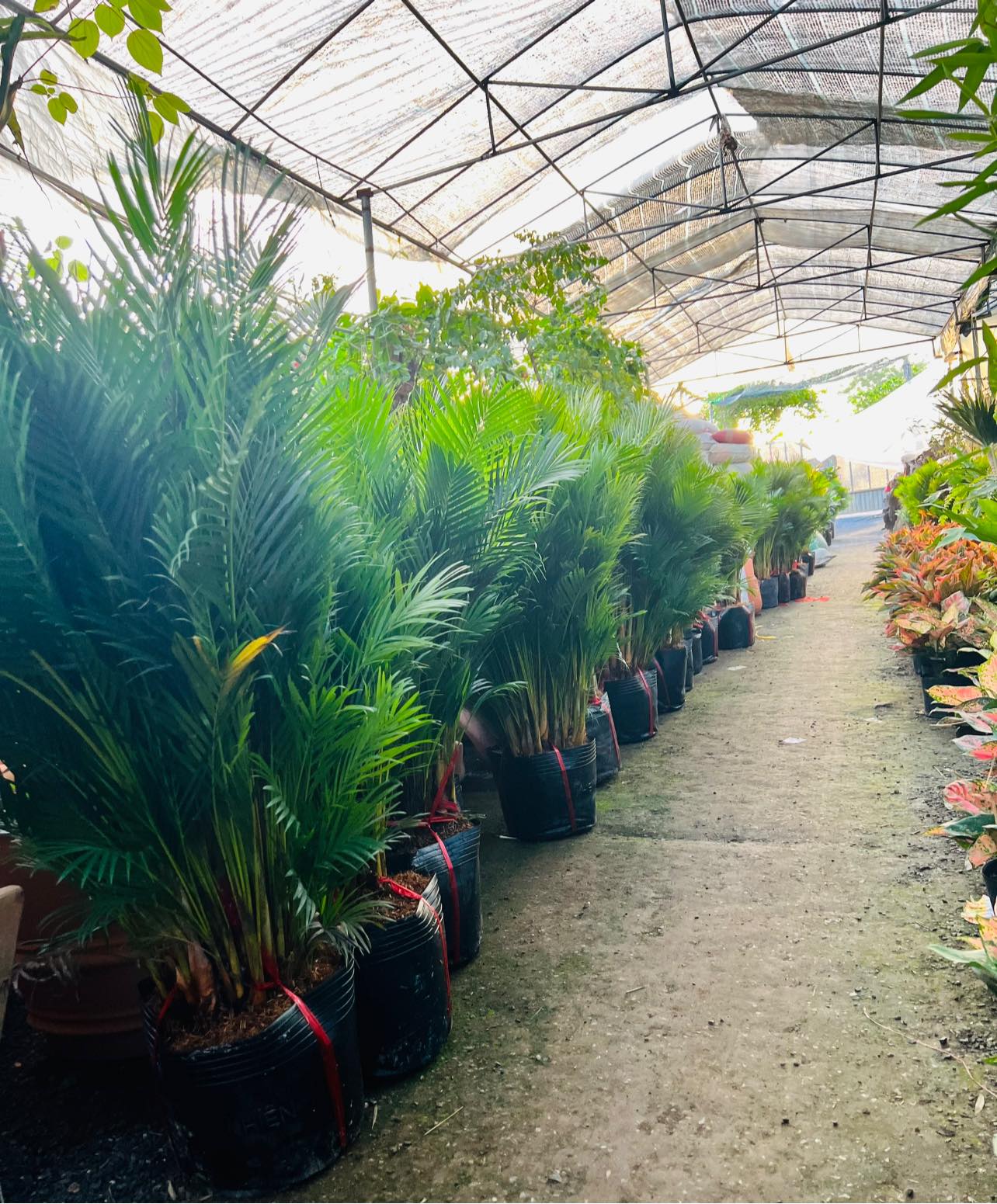 284850235_5846926695324327_9208682804146372951_n