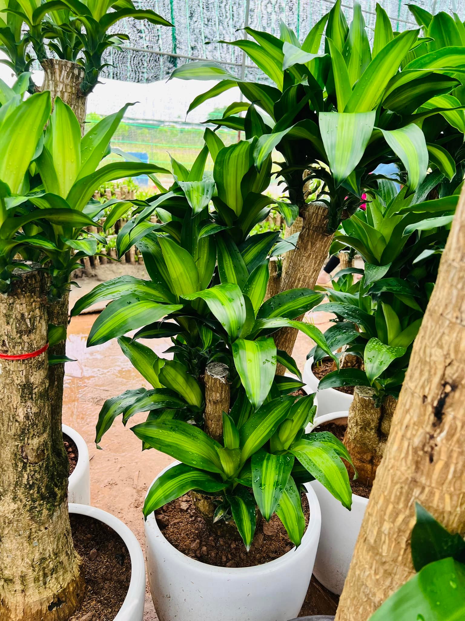 284937536_5837160246300972_680764190104474974_n