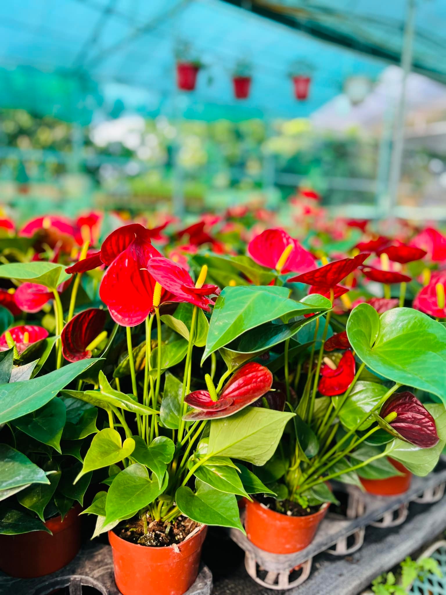 285369155_5842963695720627_3469511644192347086_n