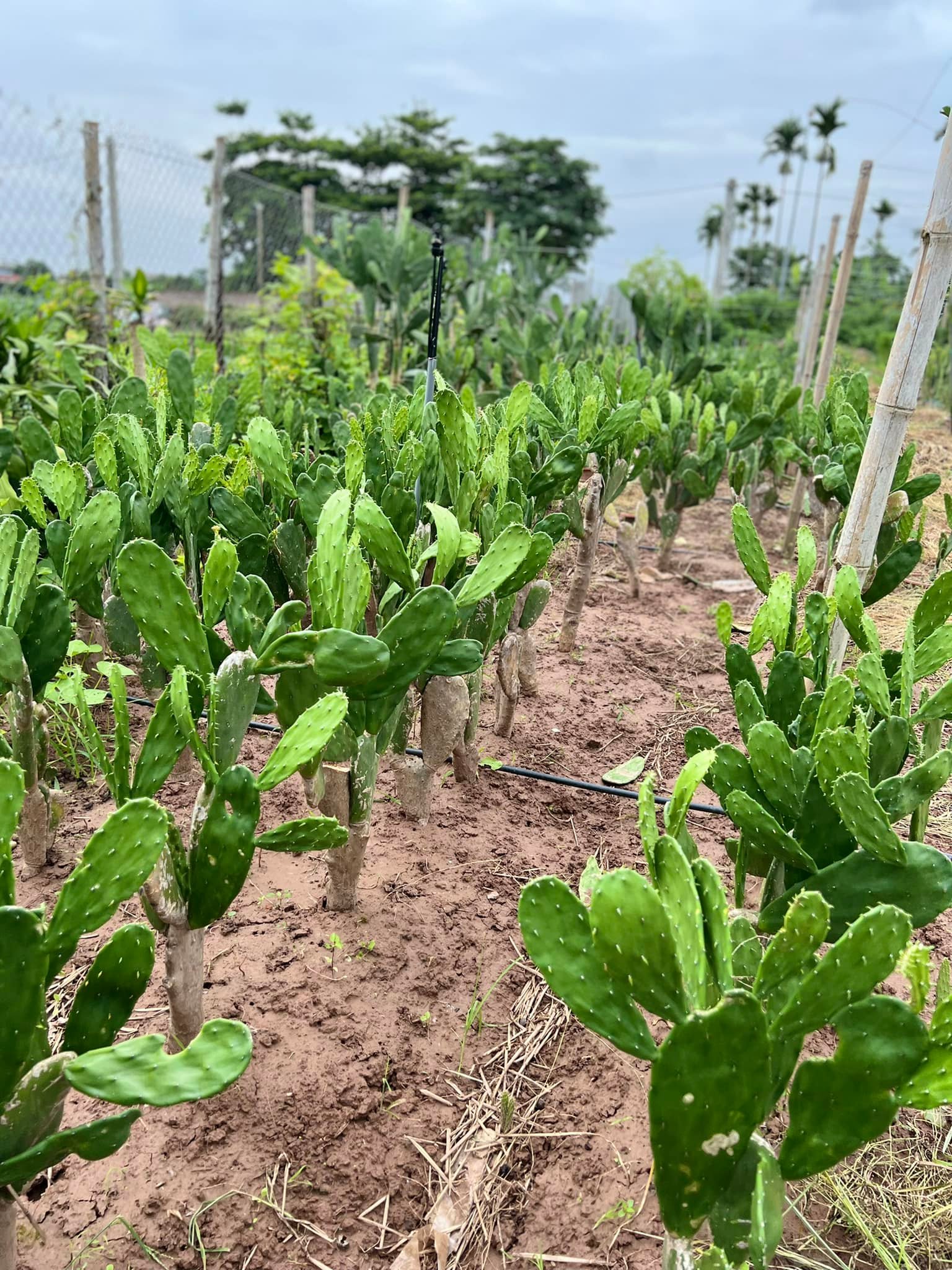 286665468_5881356525214677_1457607511910397846_n