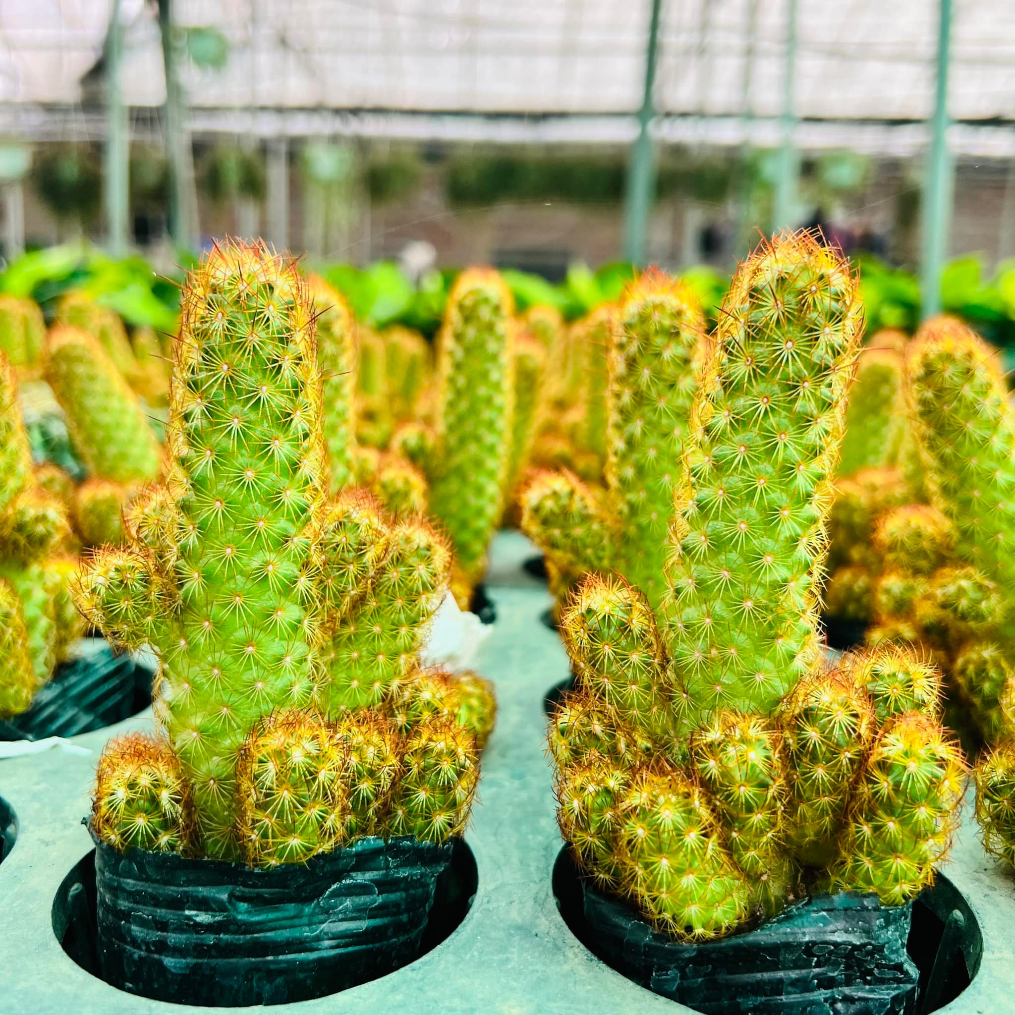 287029893_5876254852391511_1112280660683939947_n