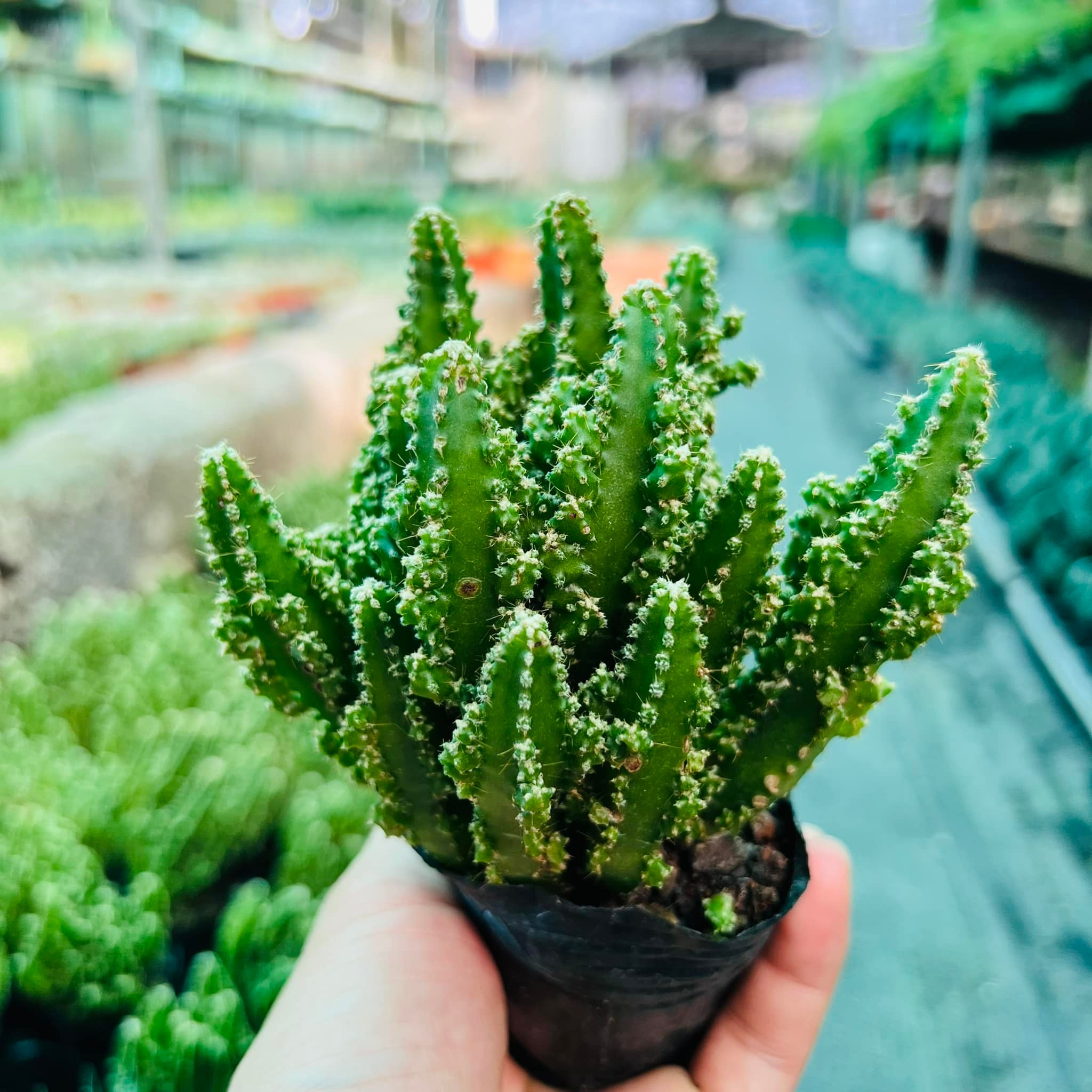 287105035_5876253509058312_3381551073552488382_n