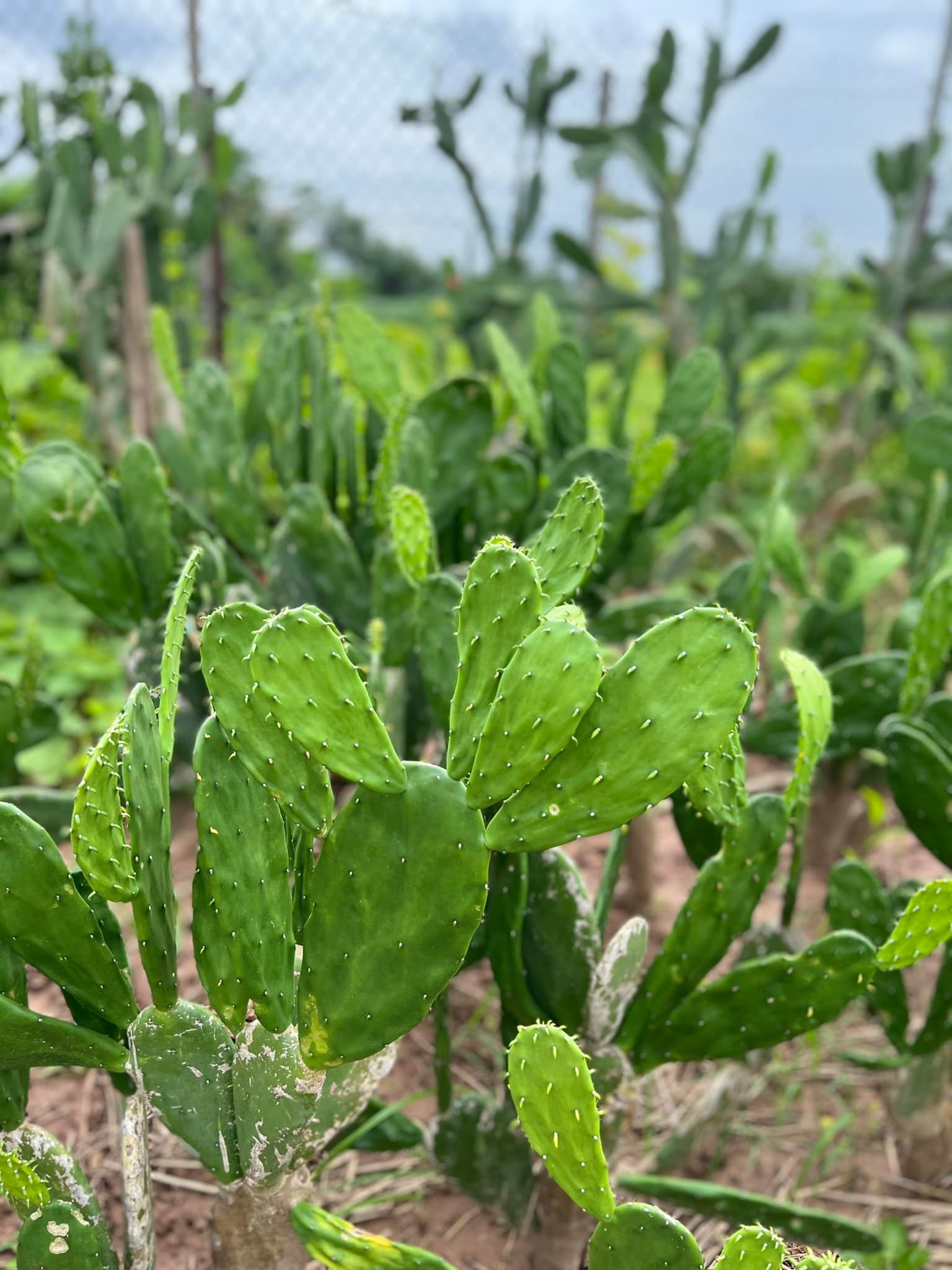 287674242_5881356735214656_6487874553662419899_n