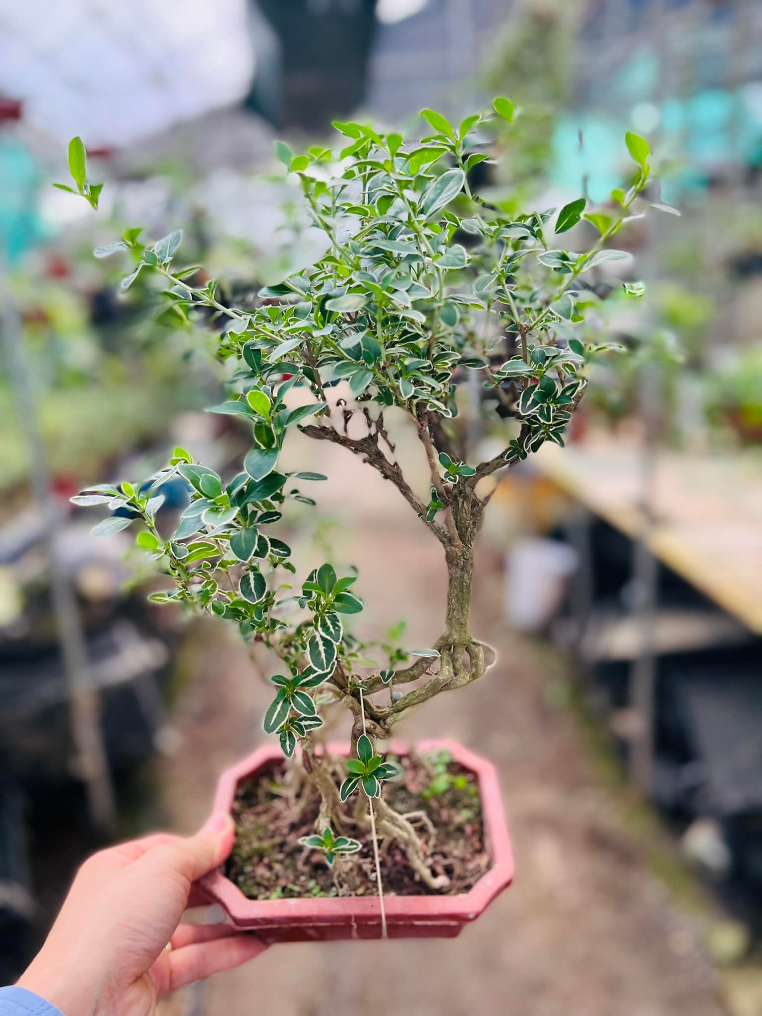 287794346_5893895140627482_4568785384619039648_n