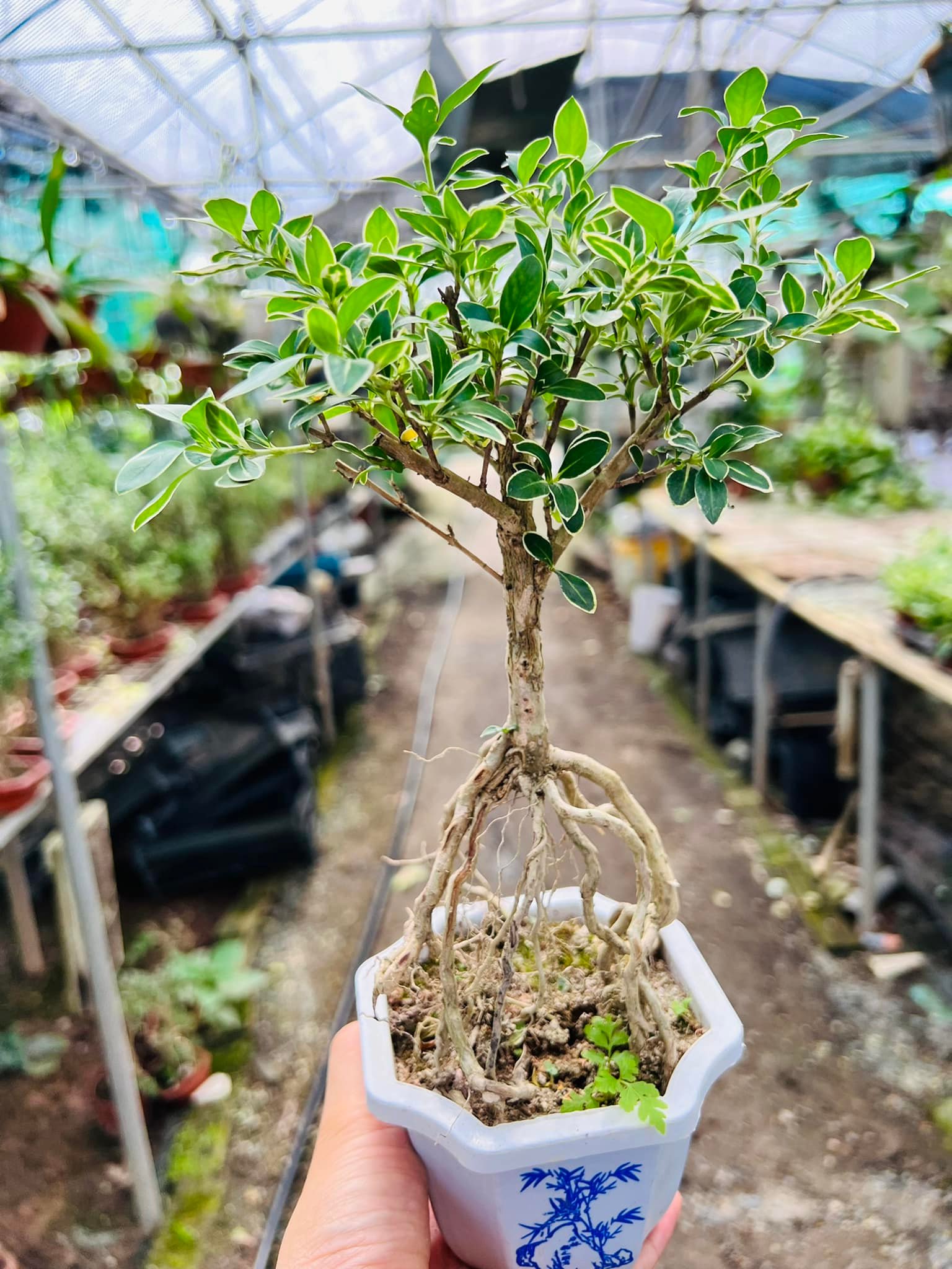 287823675_5893895250627471_2463124072352978753_n