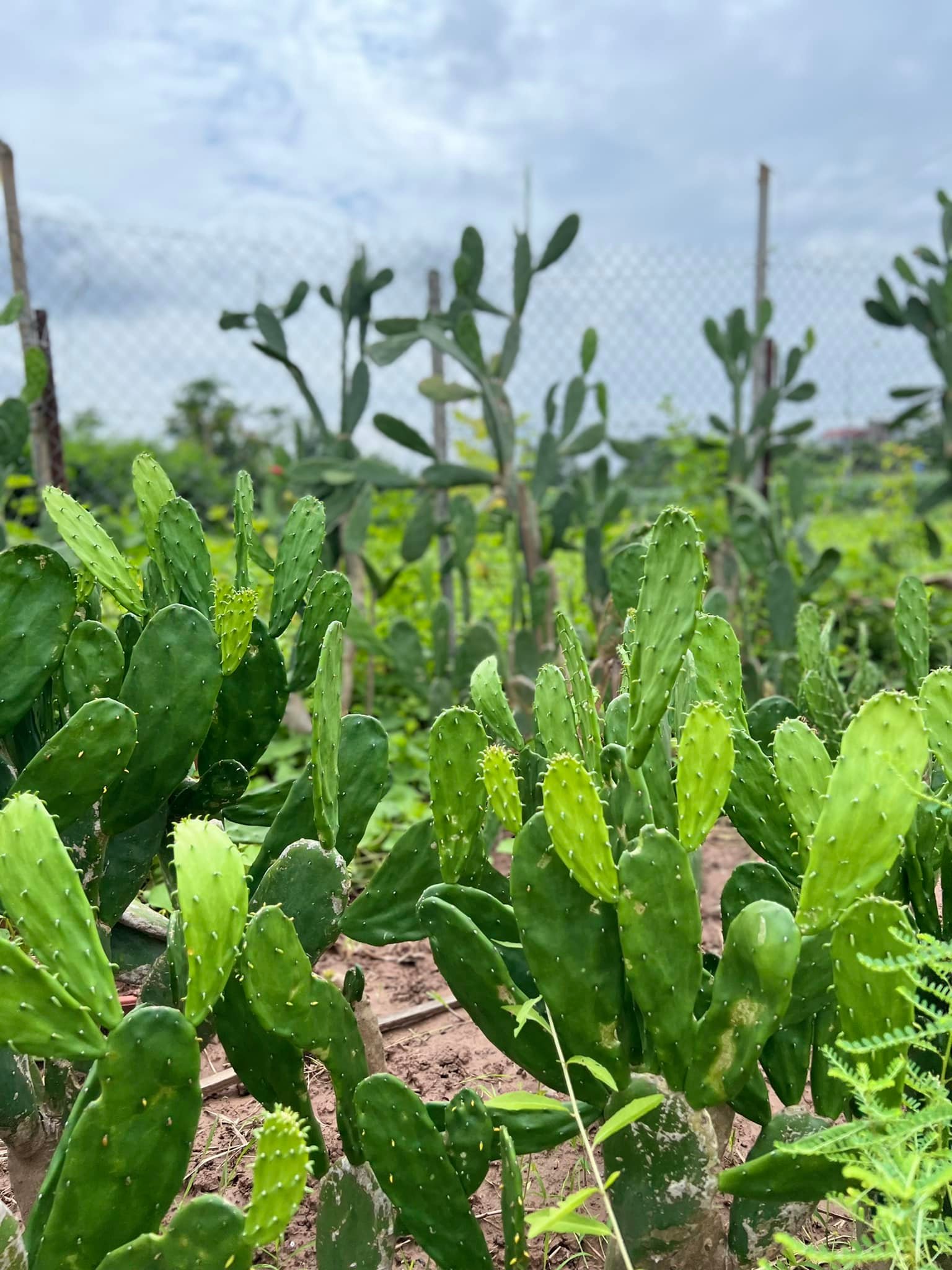 288039781_5881356581881338_3563344182377320678_n