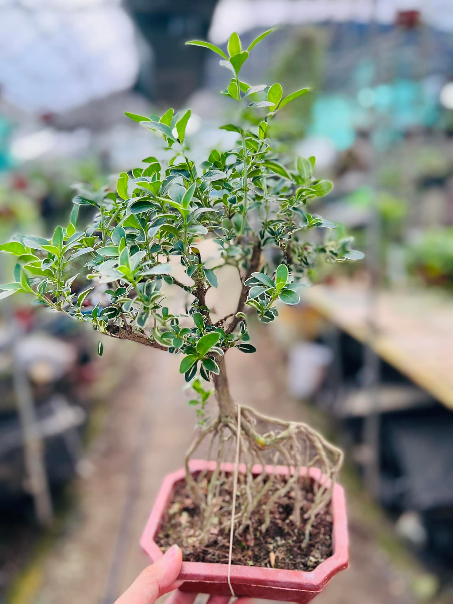 288657357_5893895097294153_7648829406110407903_n