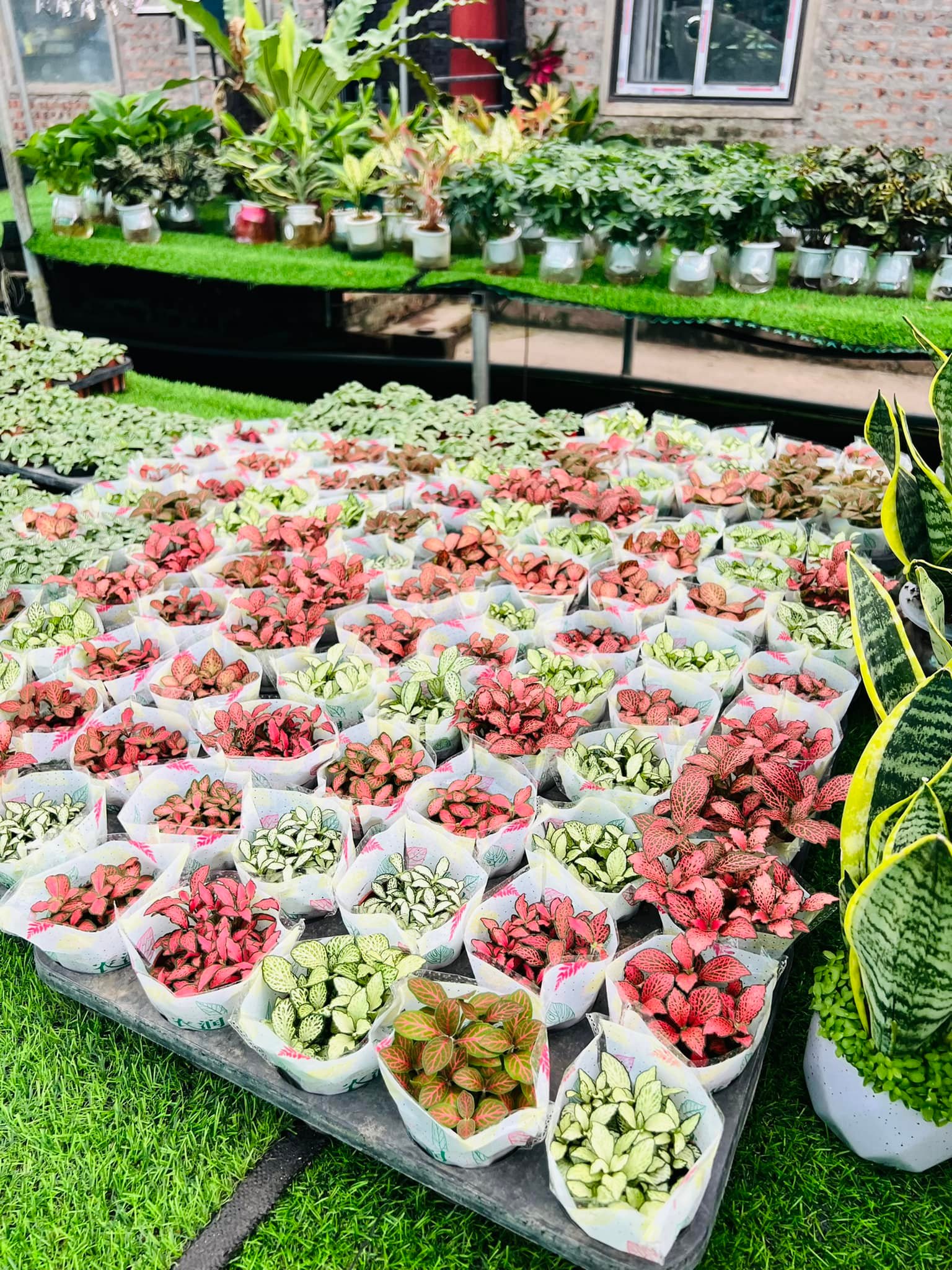 289002683_5897144140302582_810404484609206031_n