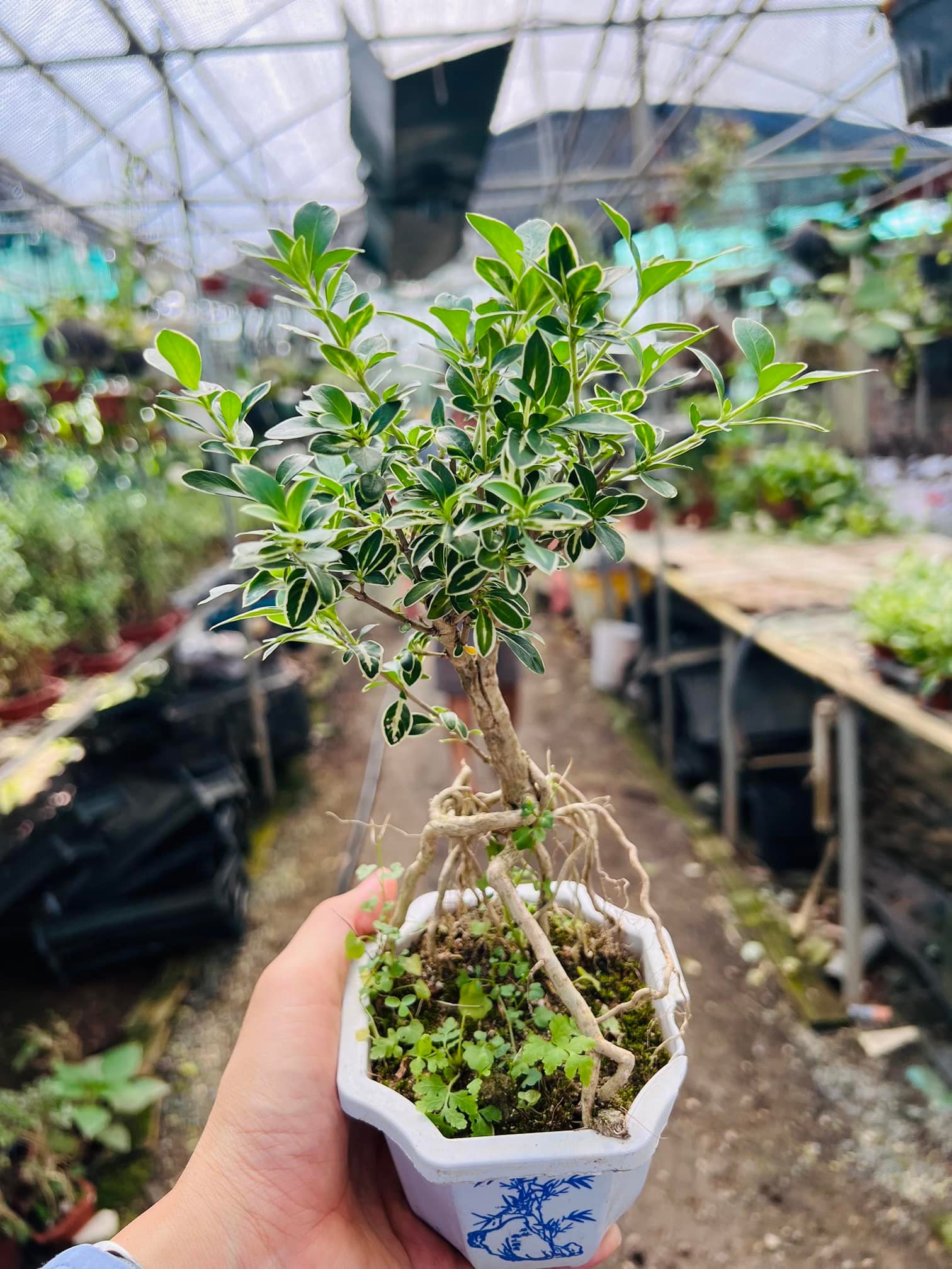 289003992_5893895217294141_7907135570882267204_n