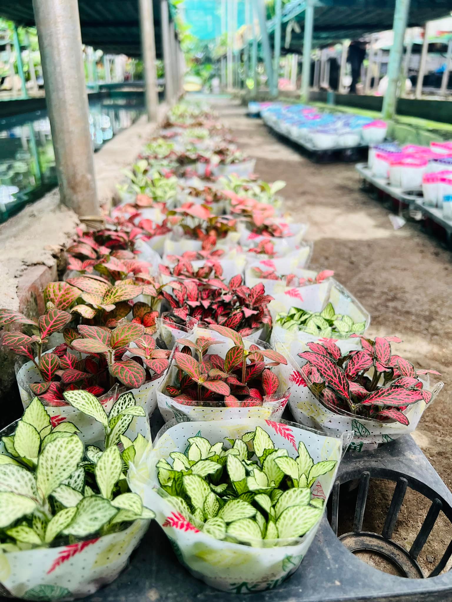 289178670_5897144506969212_9076674971613475109_n