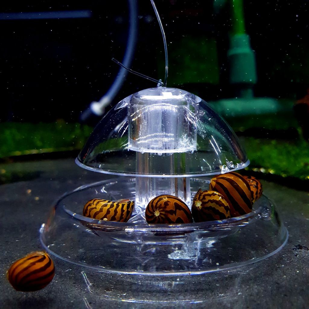 3d0c5af7669bca21f8907f72ffdbc72c