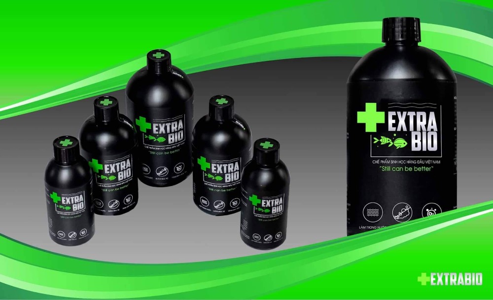 86935030_146226843115014_4542912858895155200_n