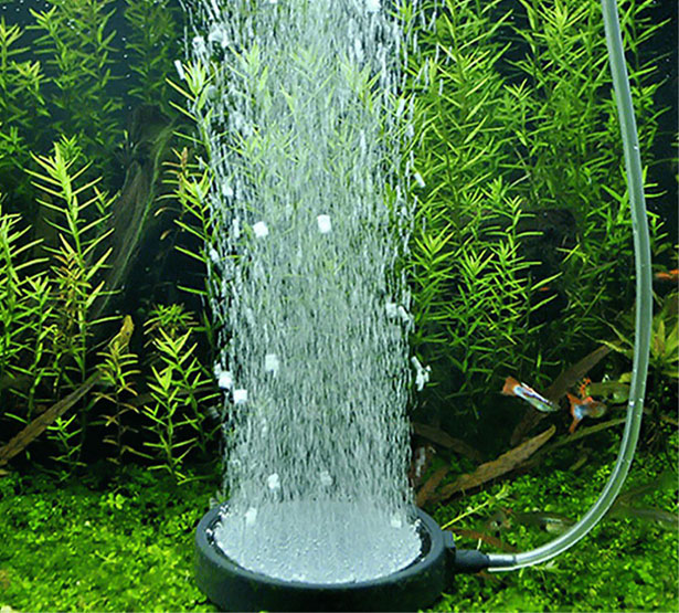 sui-dia-oxy-sieu-min