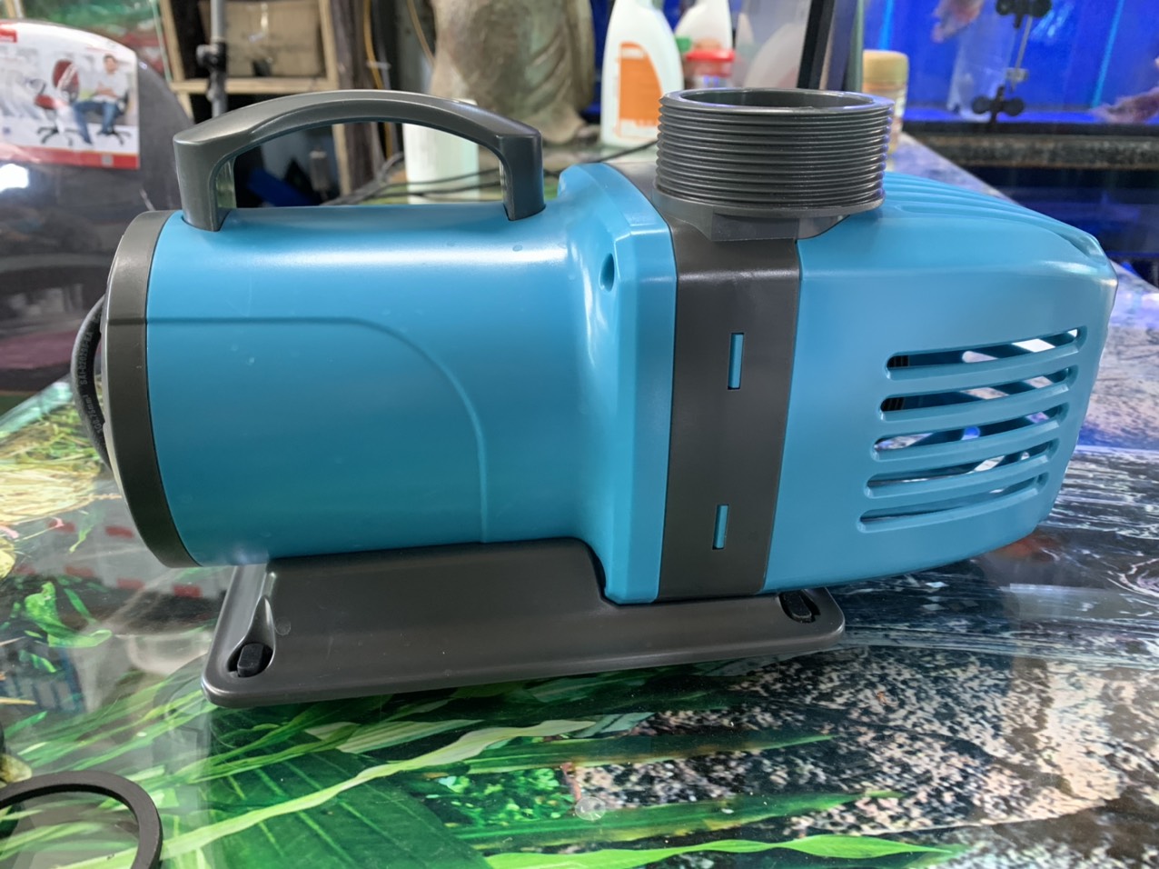 z2956343713046_336d8c559c62fb2642bff4378bd300fc