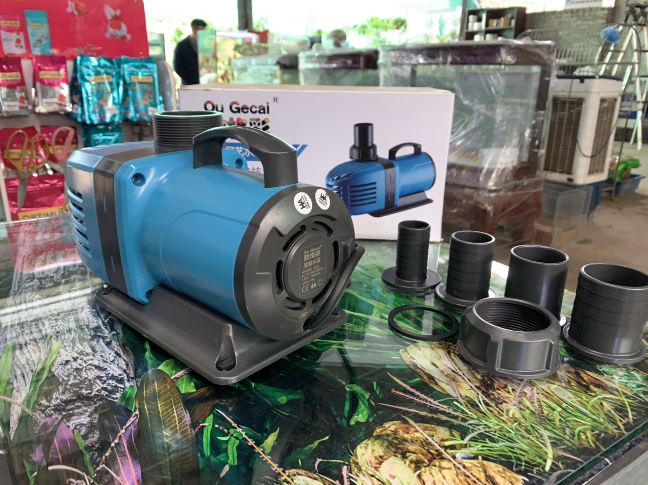 z2956343723683_859e8eda4c34c8137659b06392a63f43