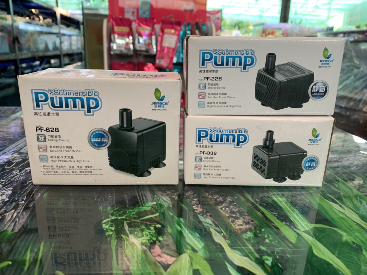 z2992524740630_6210e61debf1e495eda9578d8656603f