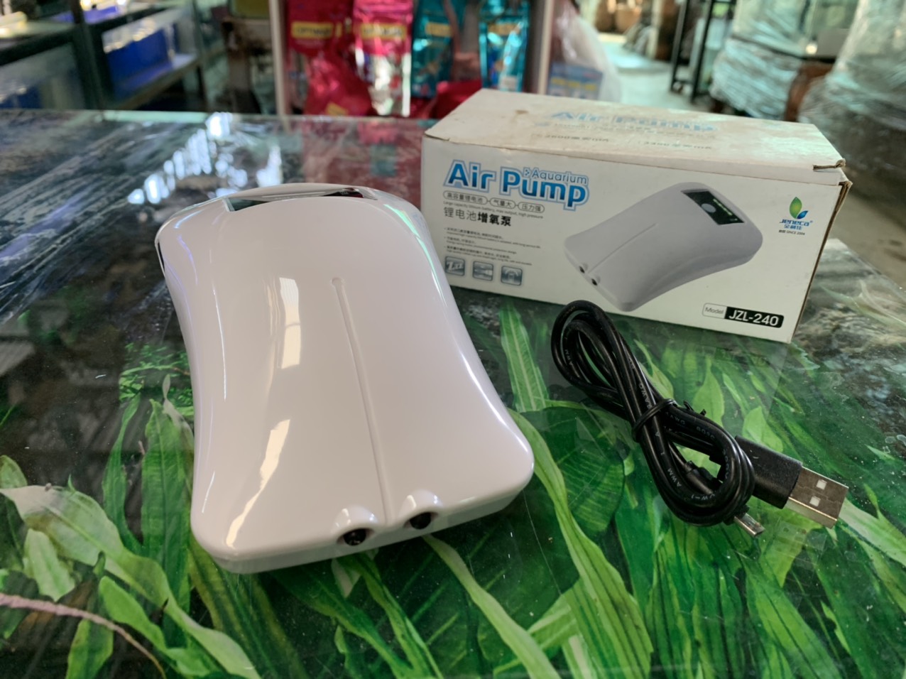 z3000938488552_033c8cc6a1eca436e2b87bfc8ce4e496