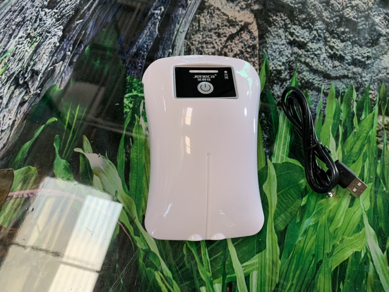 z3000938498614_83117cdadfb7fad8748481fe160db8b5