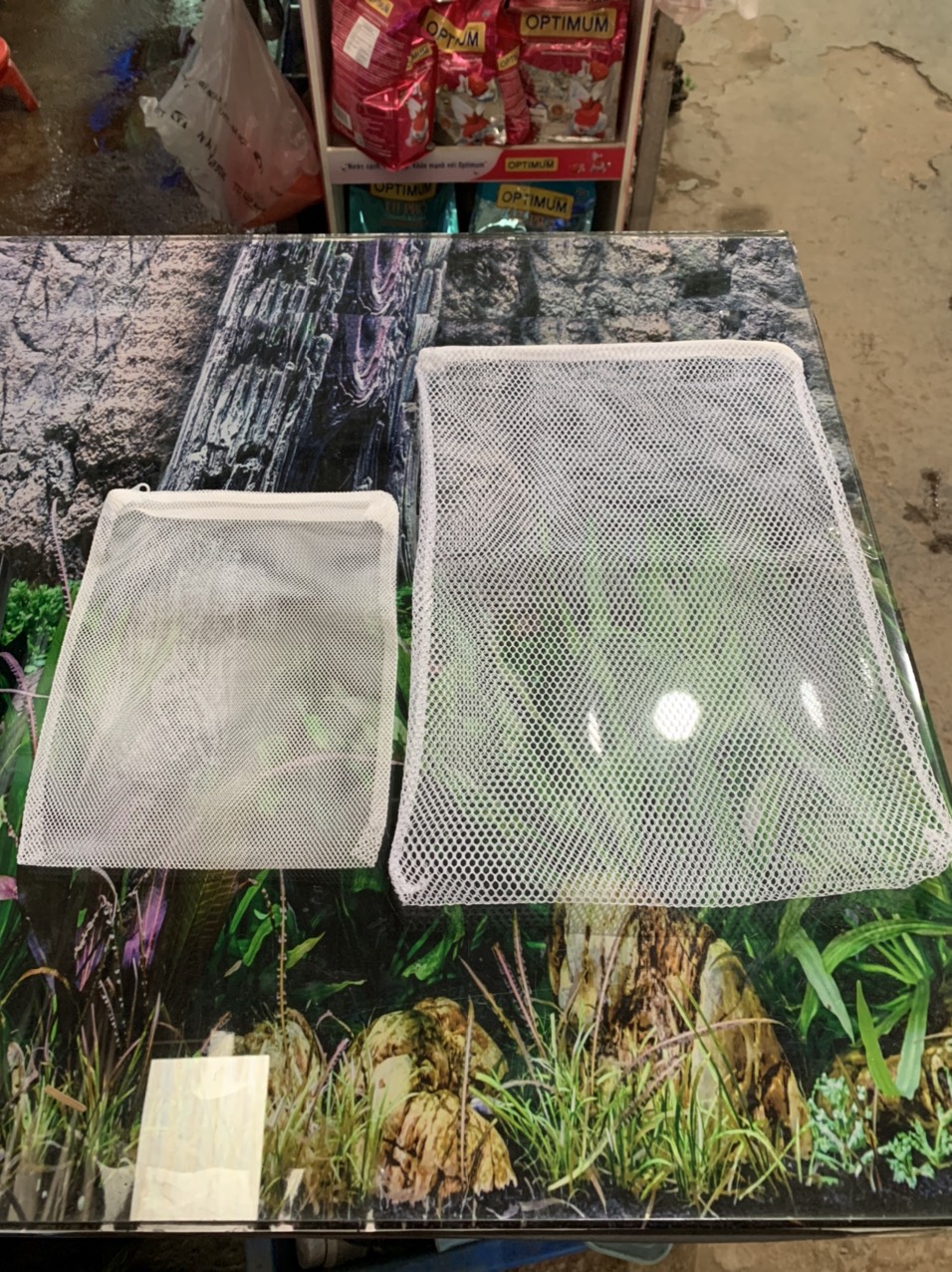 z3006188664331_a657e248f5dac8251541c47889c076eb