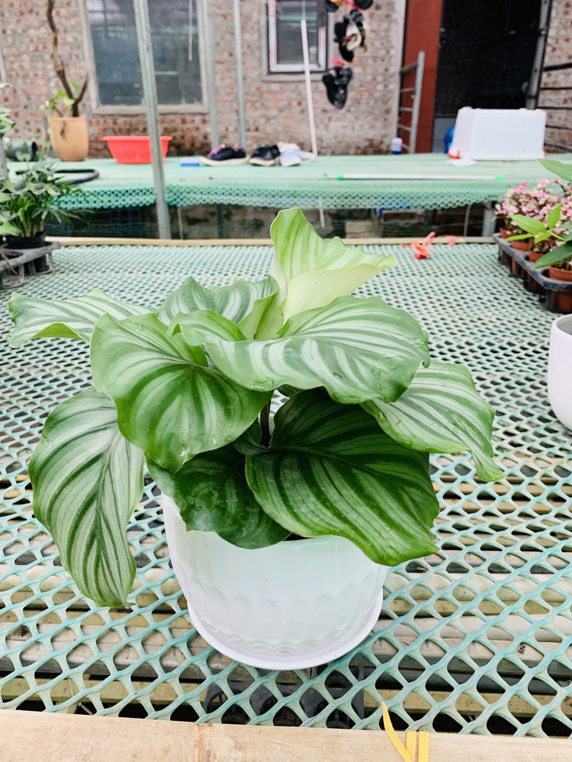 z3292004870479_8ceb81ce22f86b99c3206adb546057e9