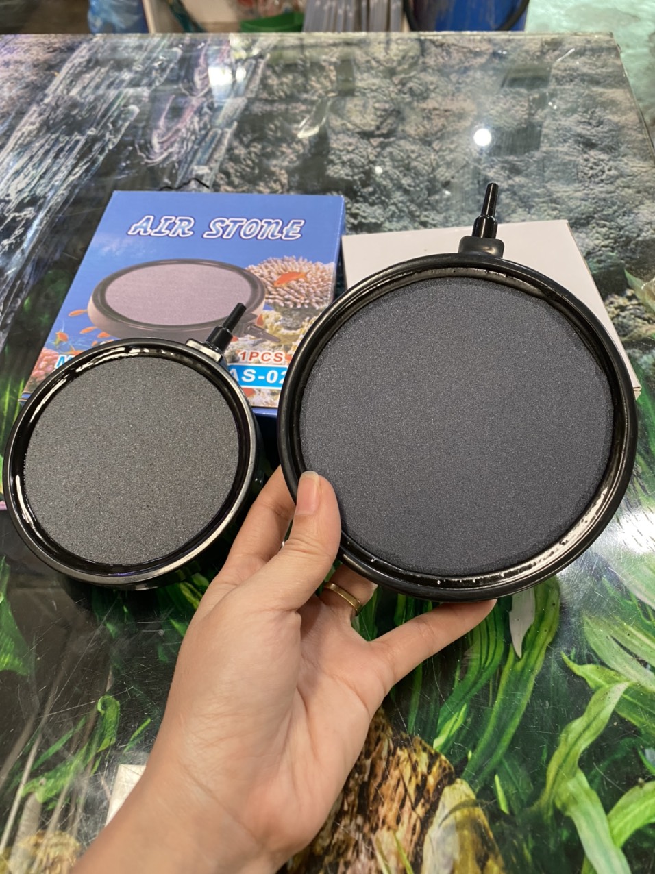 z3334064837611_3469864005b4c3176e0cc22ab677f279